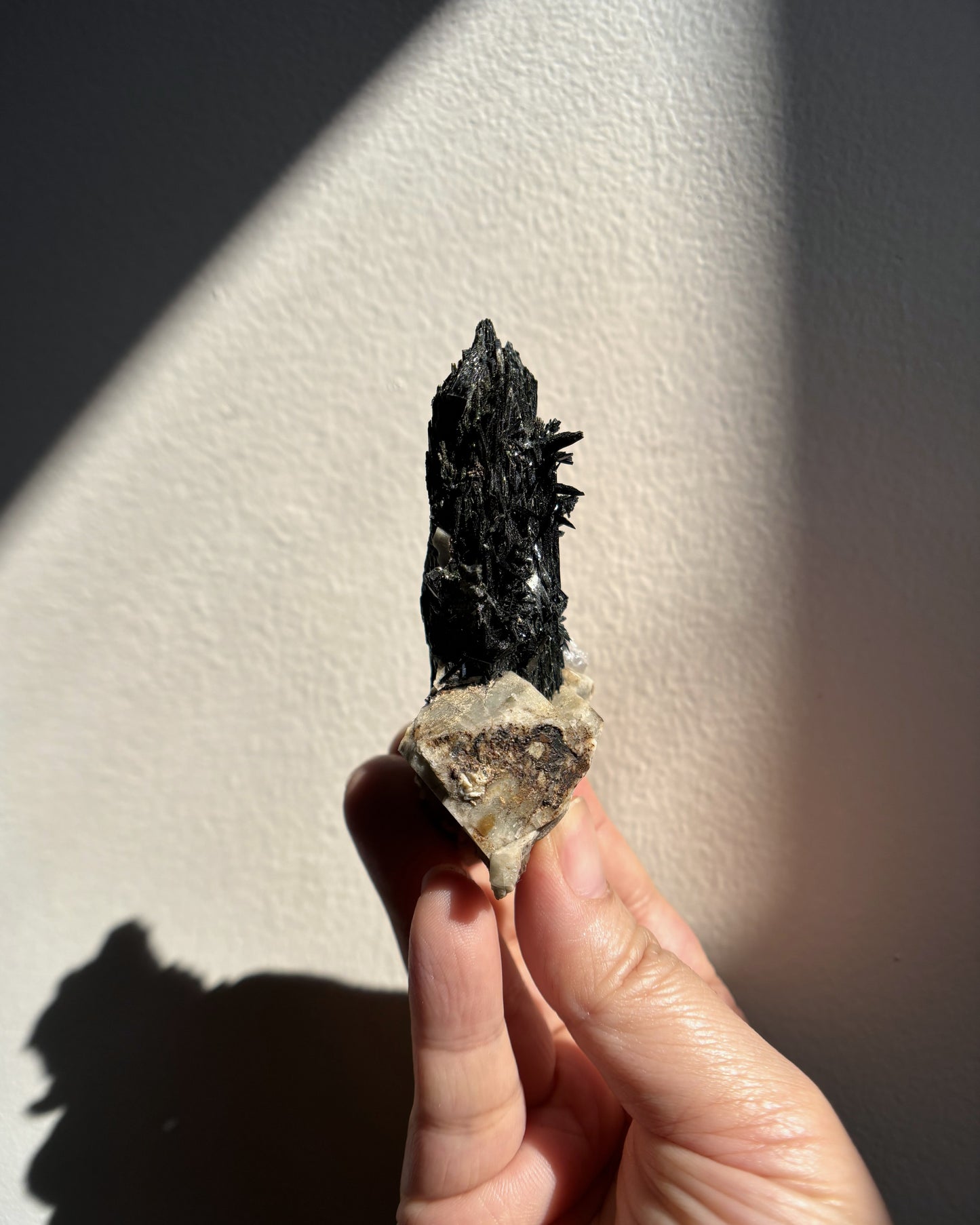 Aegirine on Orthoclase 76.5g