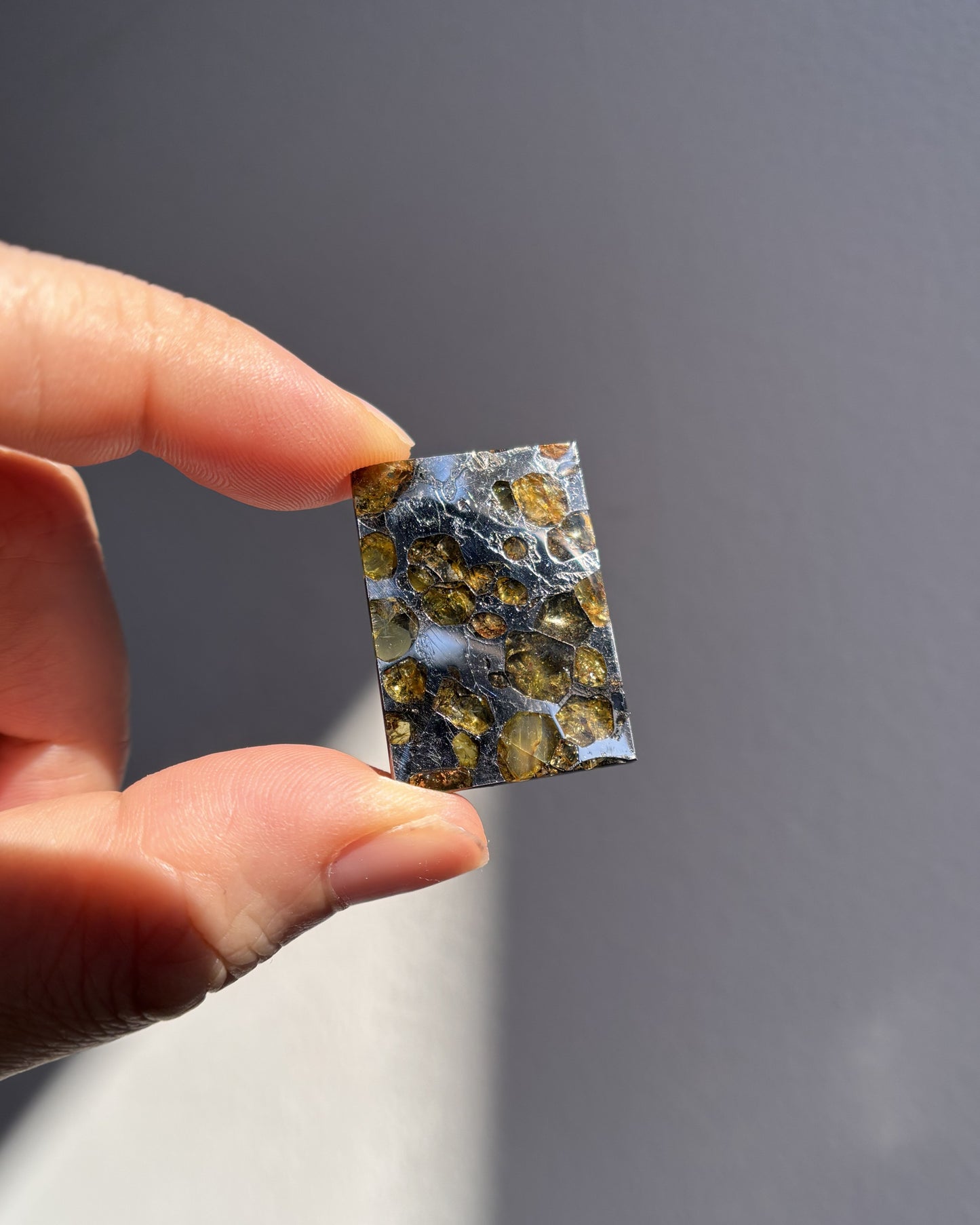 Top Grade Brahin Pallasite Meteorite 8.2g