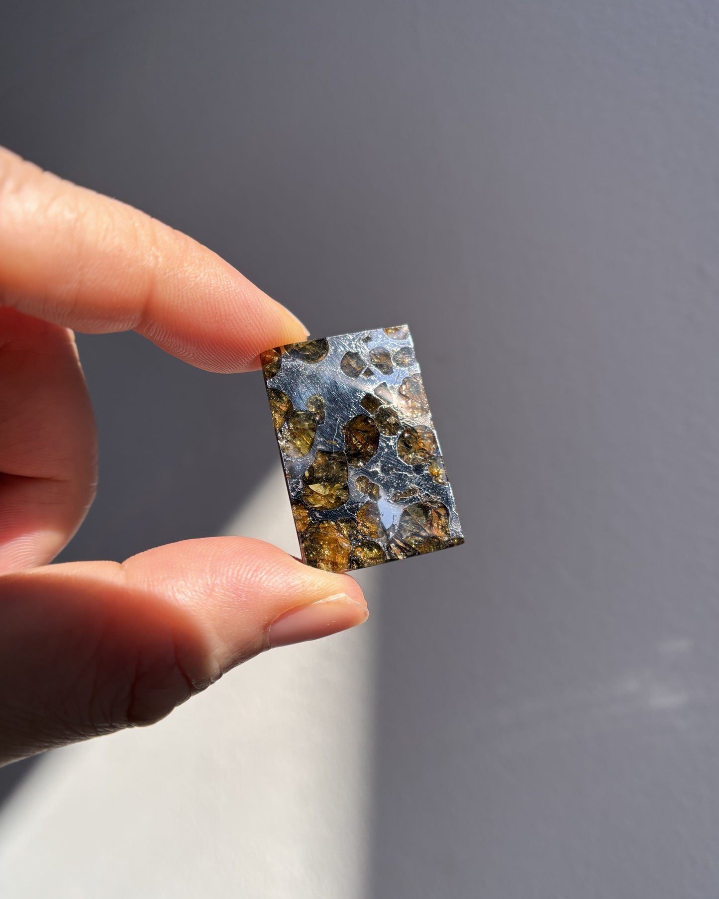 Top Grade Brahin Pallasite Meteorite 8.2g