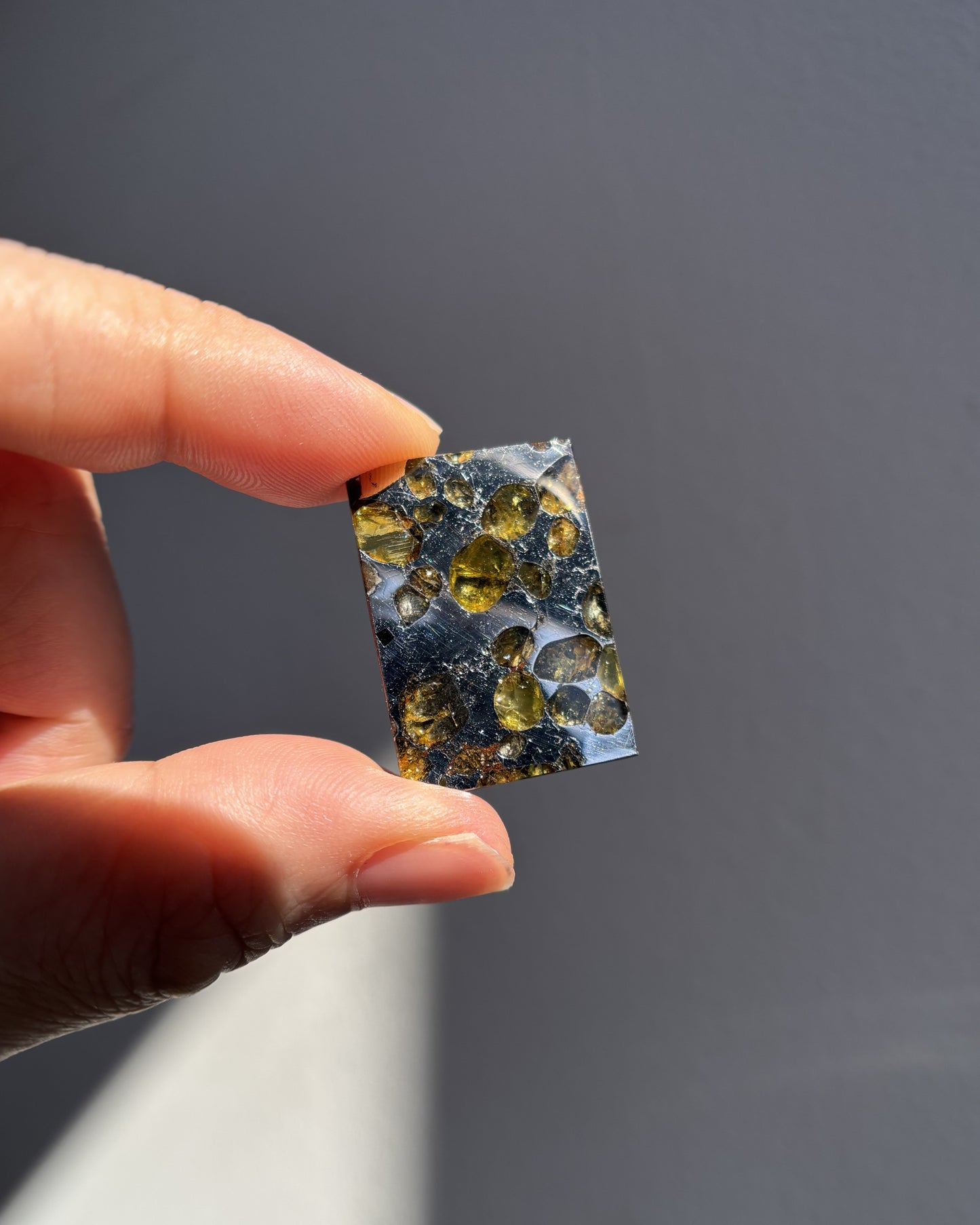 Top Grade Brahin Pallasite Meteorite 8.7g