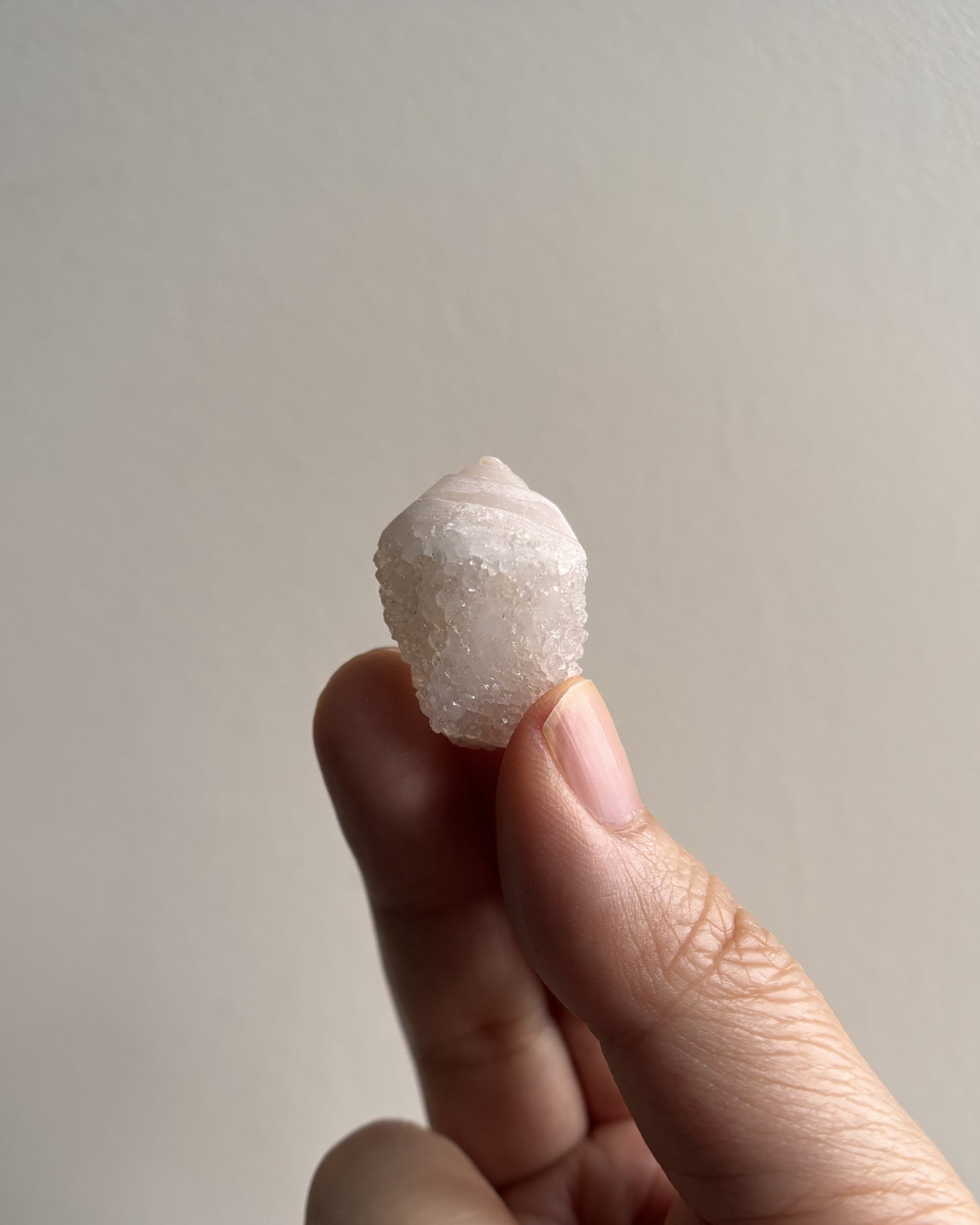 Fossilized Spiralite Quartz Shells 10g