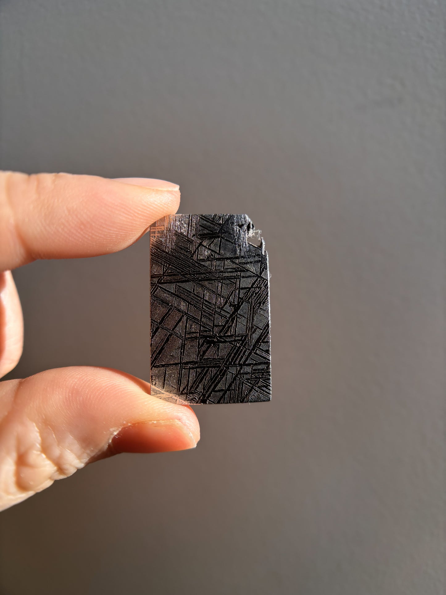 High-Grade Muonionalusta Meteorite 12.2g