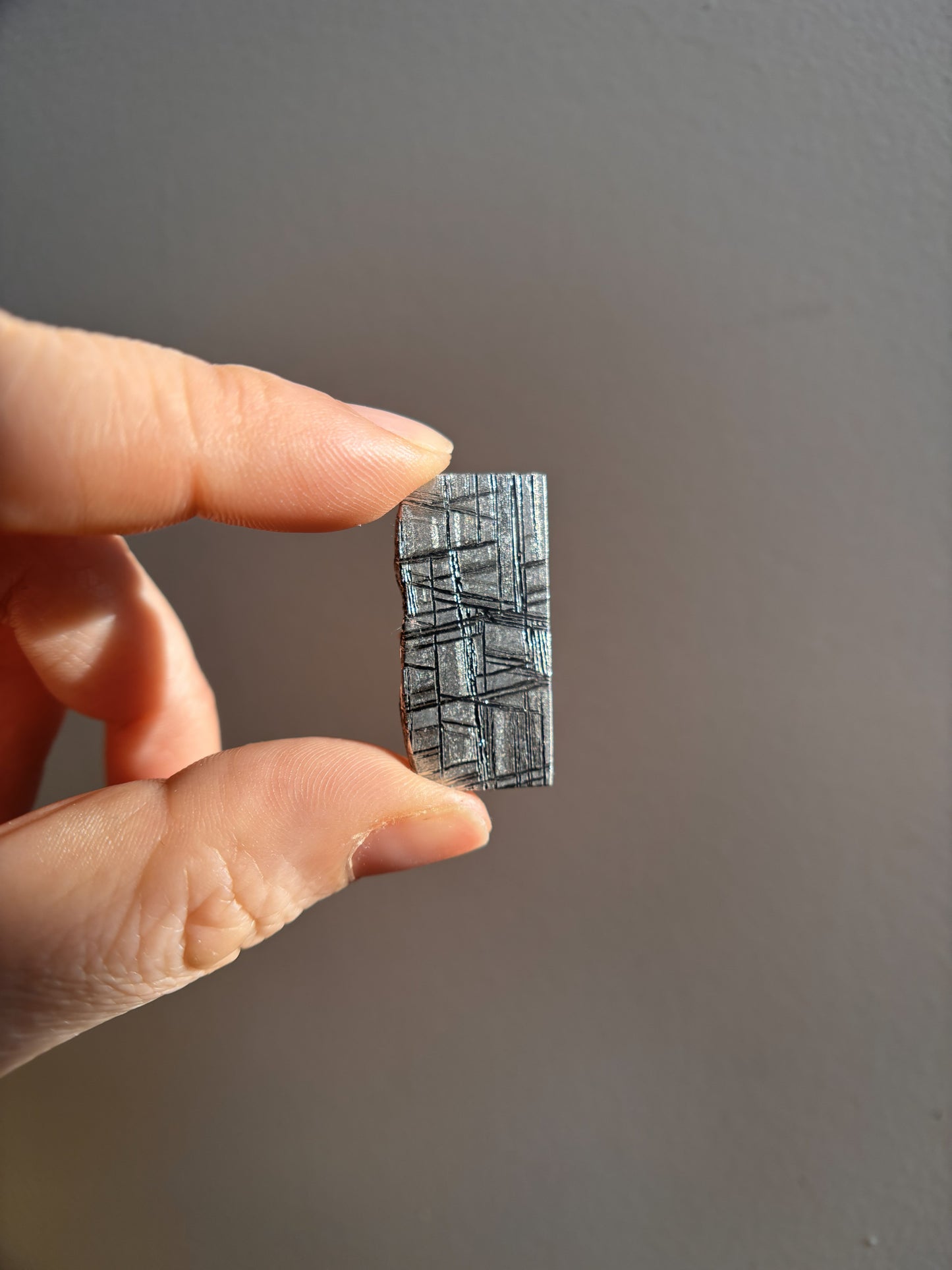 High-Grade Muonionalusta Meteorite 8.1g