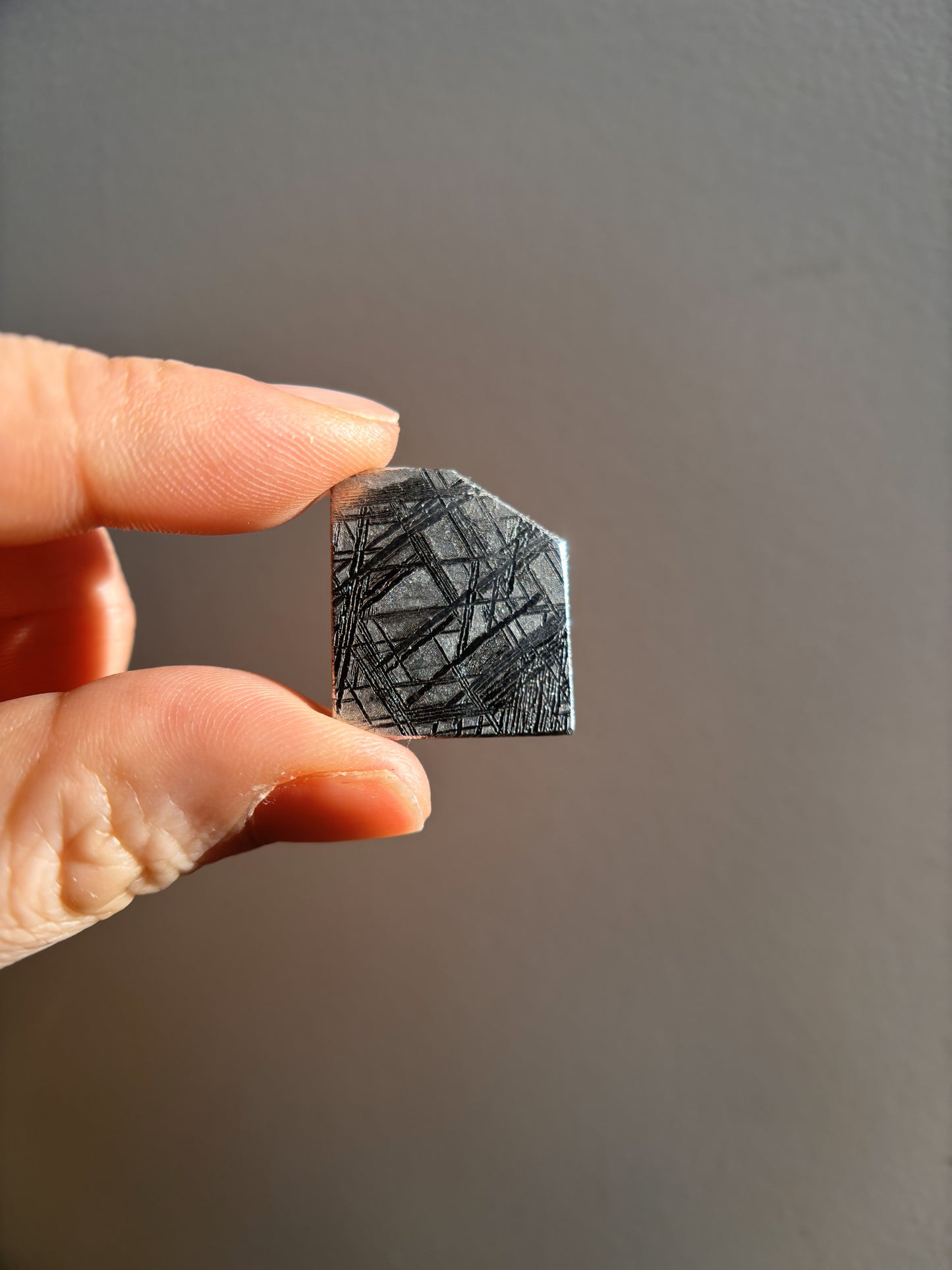 High-Grade Muonionalusta Meteorite 8.5g