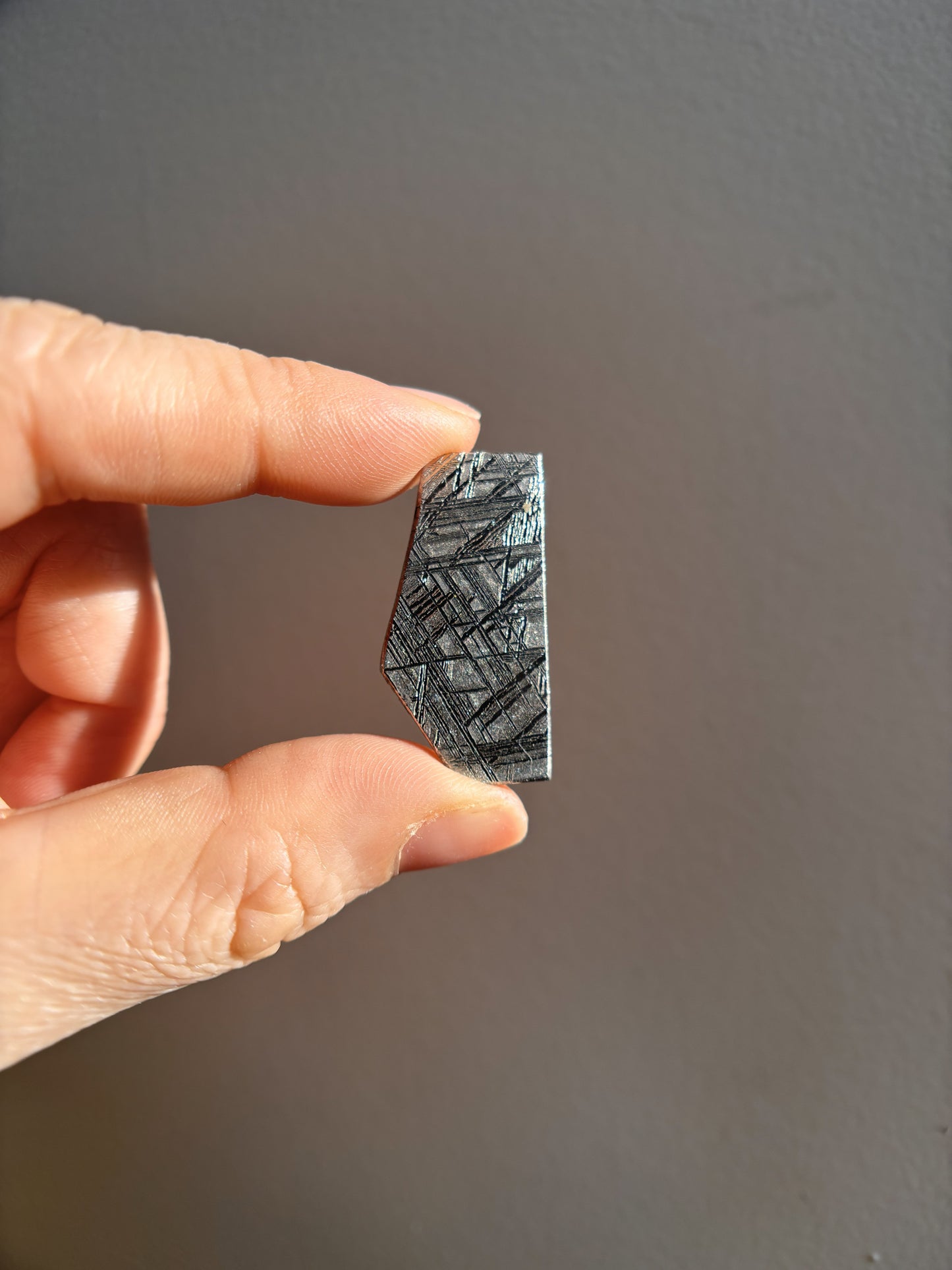 High-Grade Muonionalusta Meteorite 9.2g