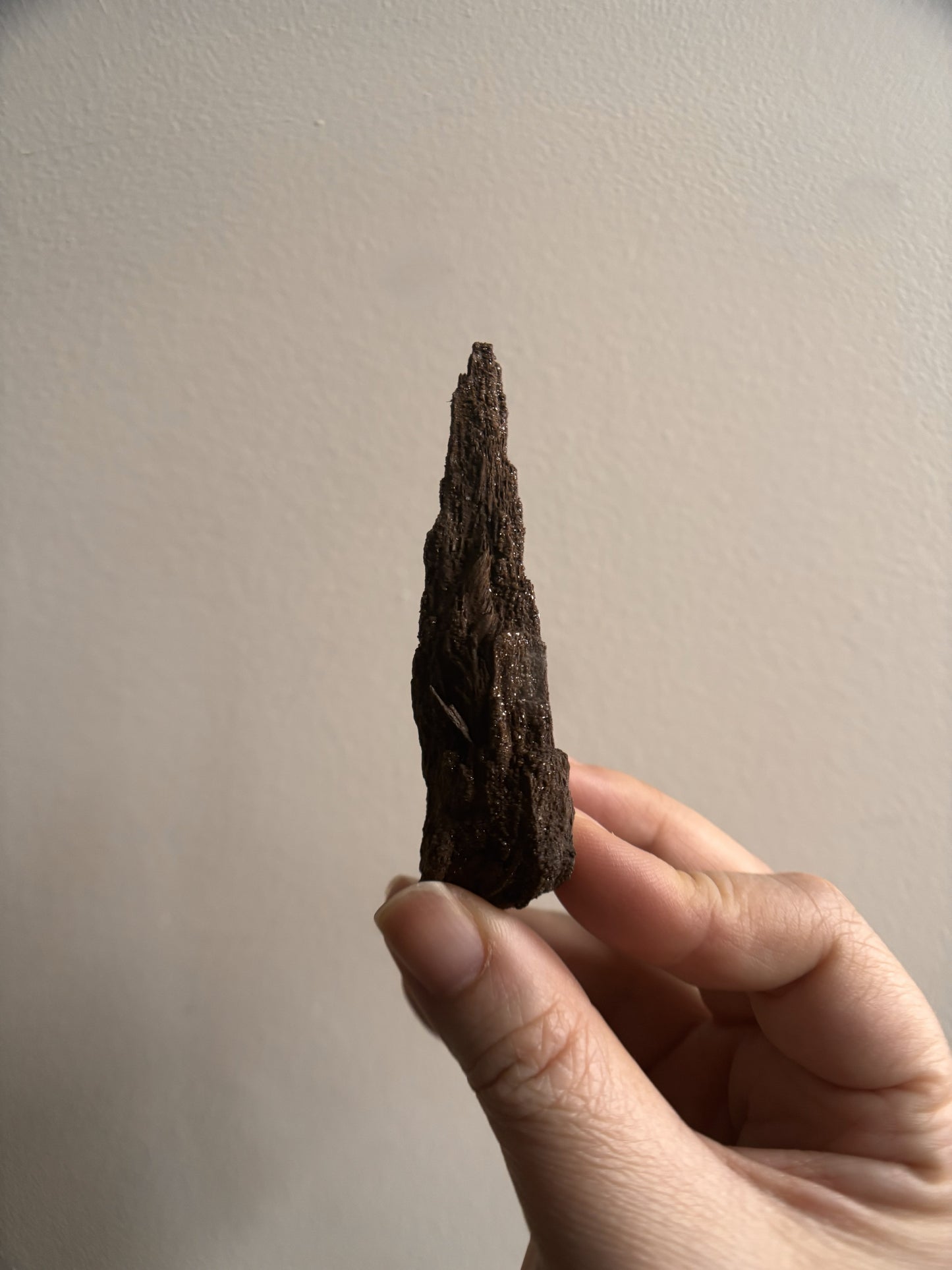 Permineralized Fossil Wood with Quartz 20.7g