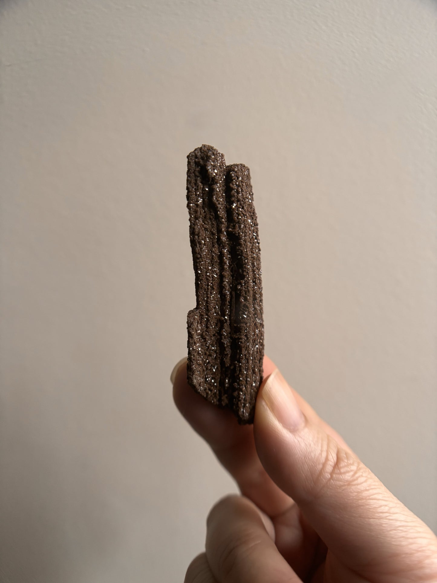 Permineralized Fossil Wood with Quartz 20g