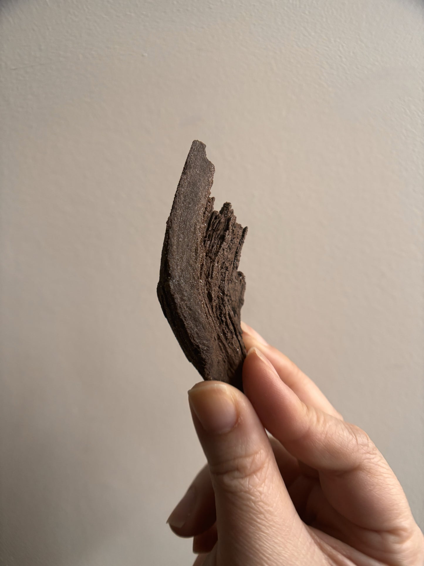 Permineralized Fossil Wood with Quartz 25g