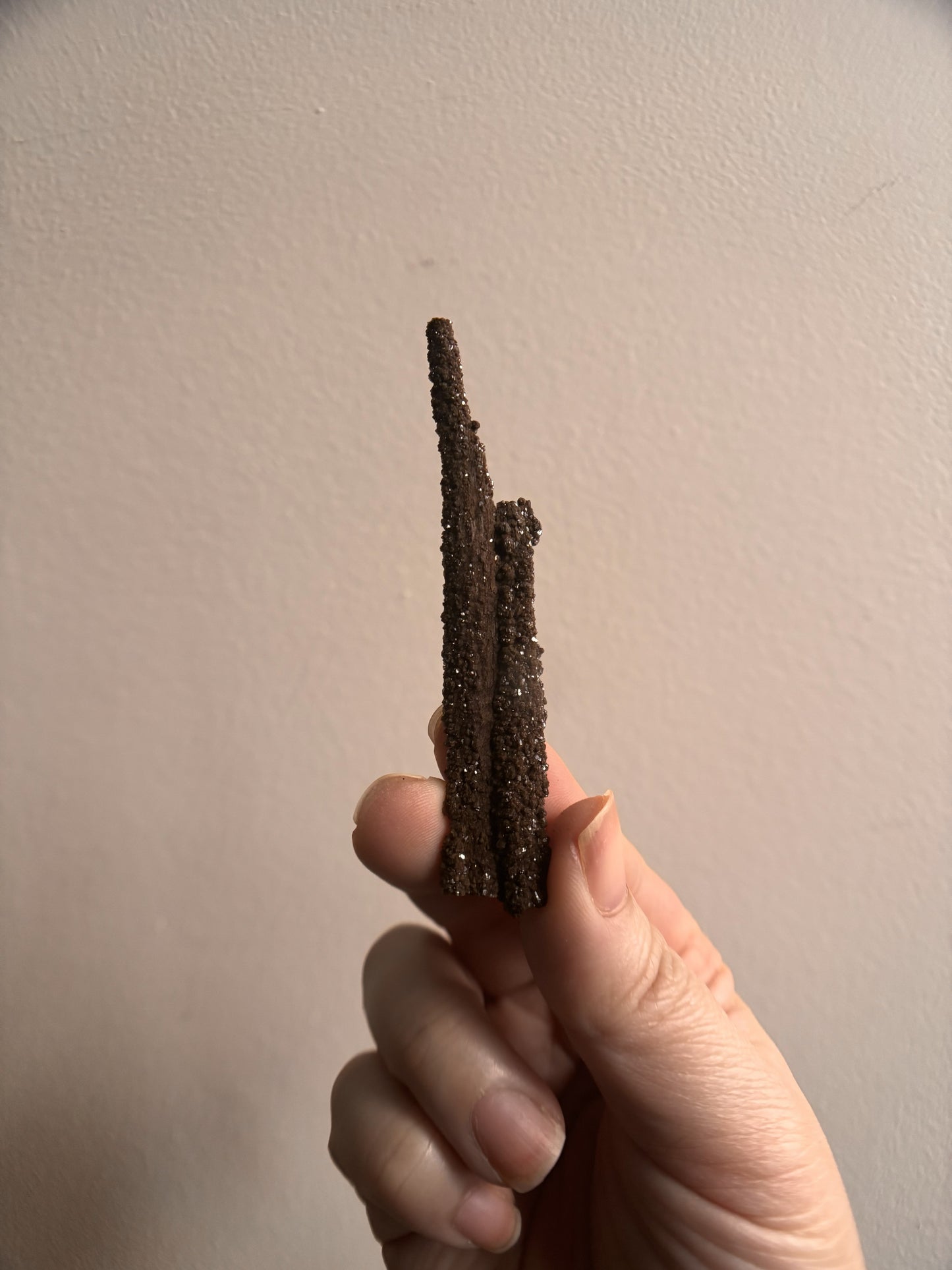 Permineralized Fossil Wood with Quartz 5.6g