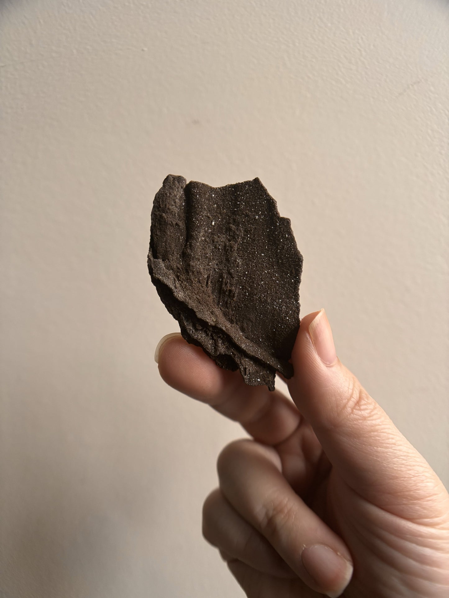 Permineralized Fossil Wood with Quartz 8.4g