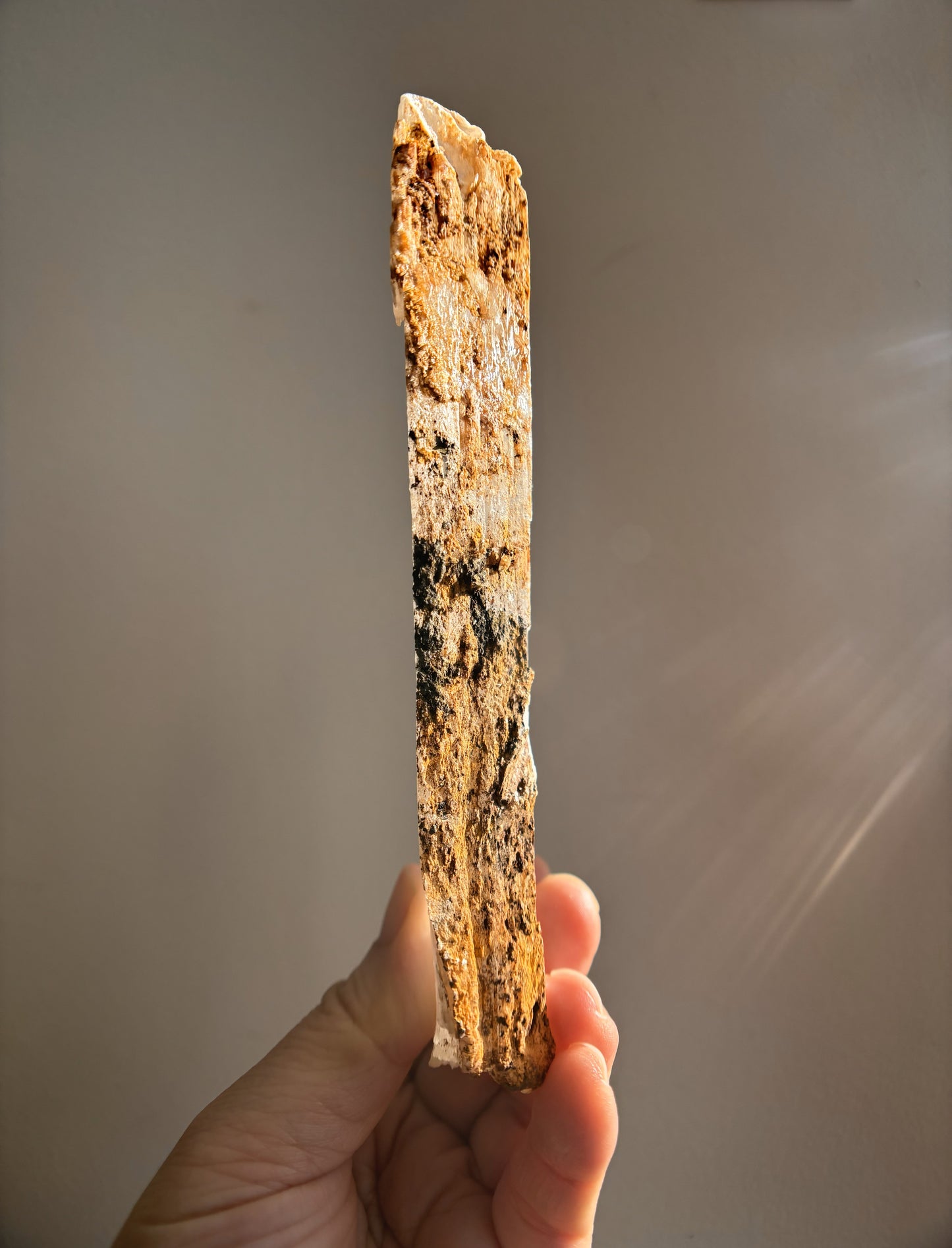 Ancient Poseidon Temple Selenite 252g