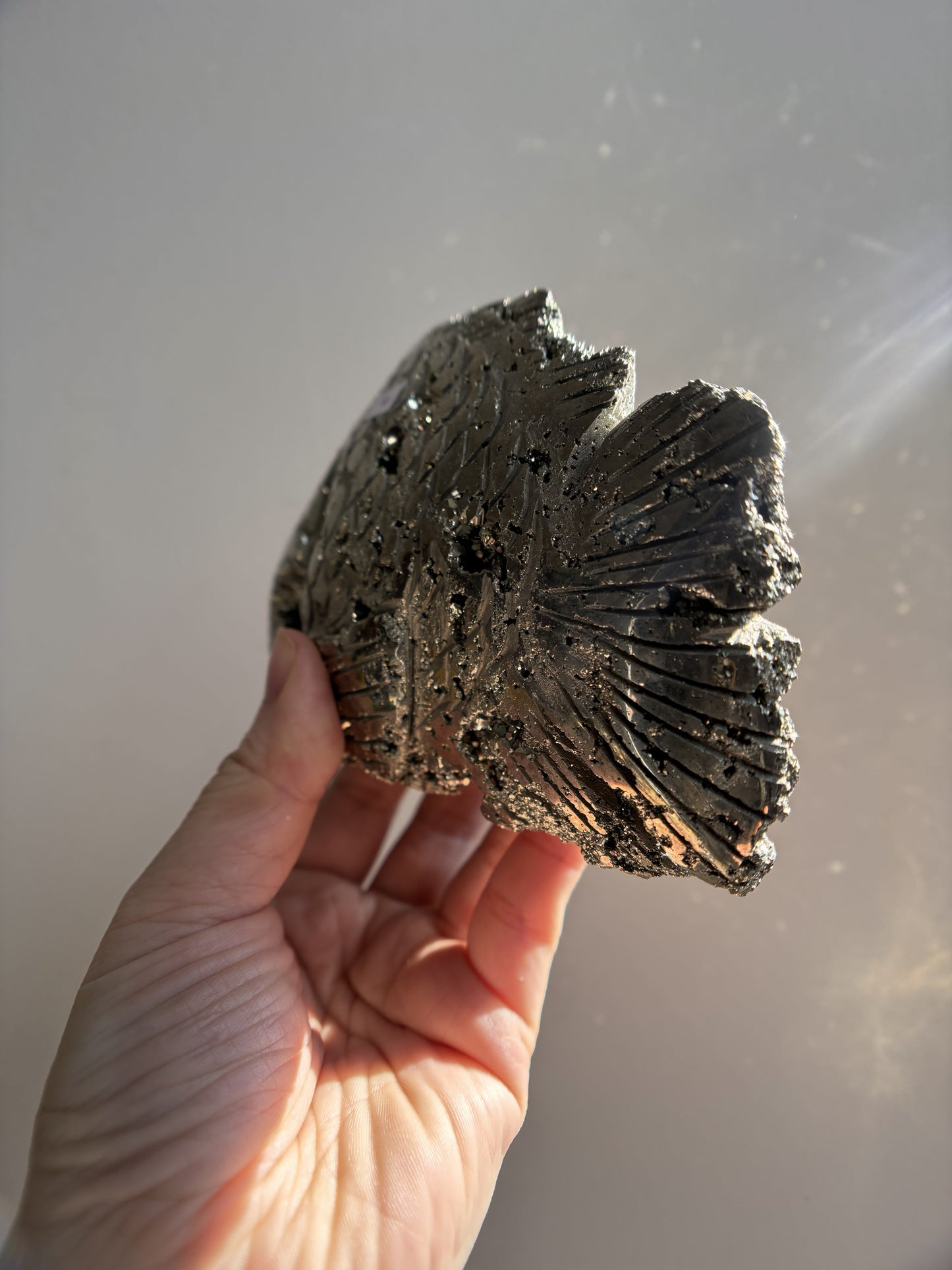 Peruvian Pyrite Fish 1.25kg