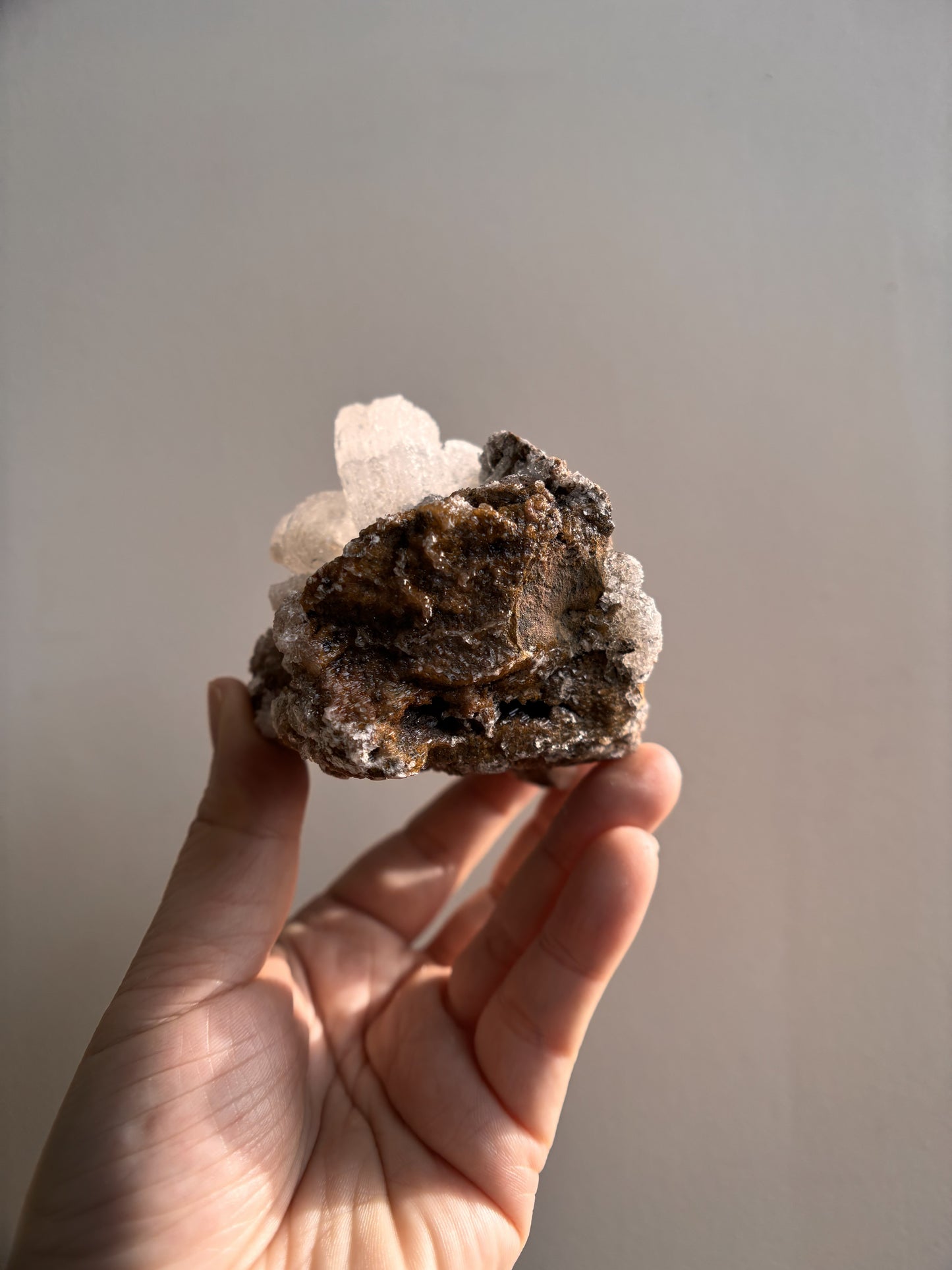 Moroccan Druzy Rams Horn Selenite on Matrix 340g