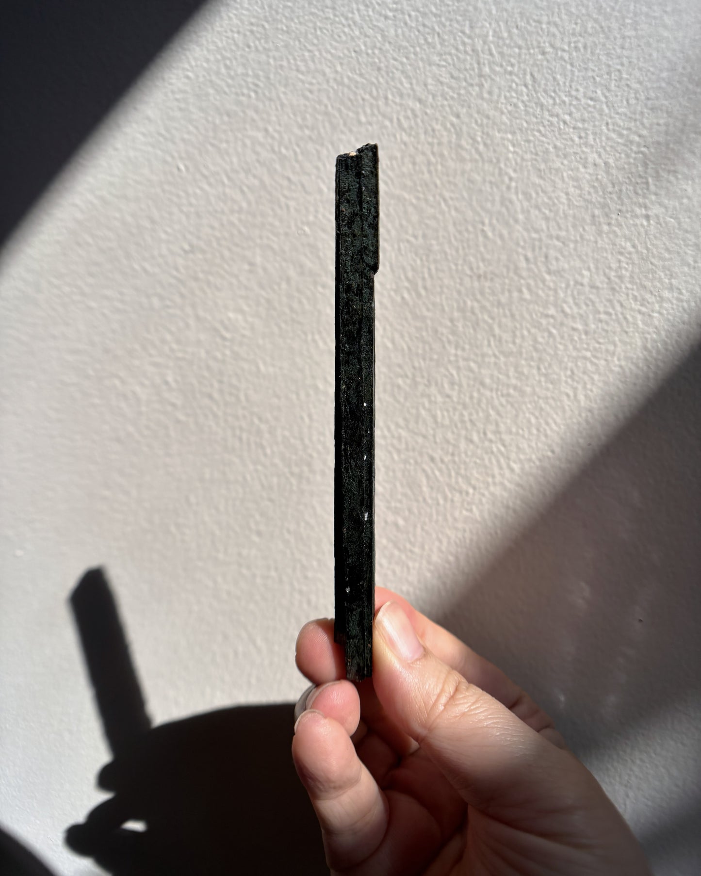 Aegirine Wand 31g