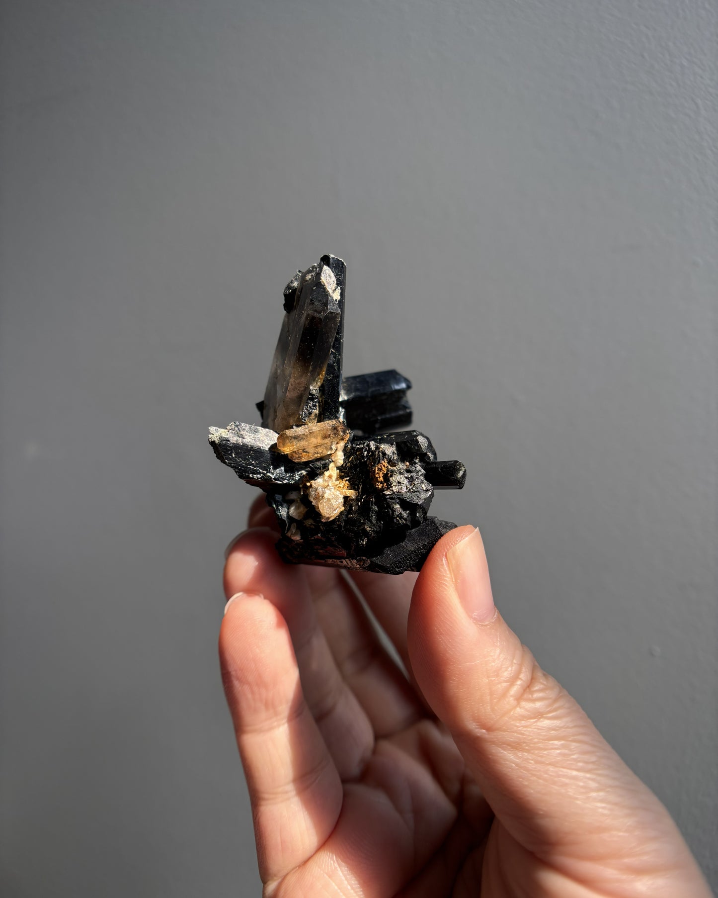 Aegirine and Smoky Quartz 51.8g