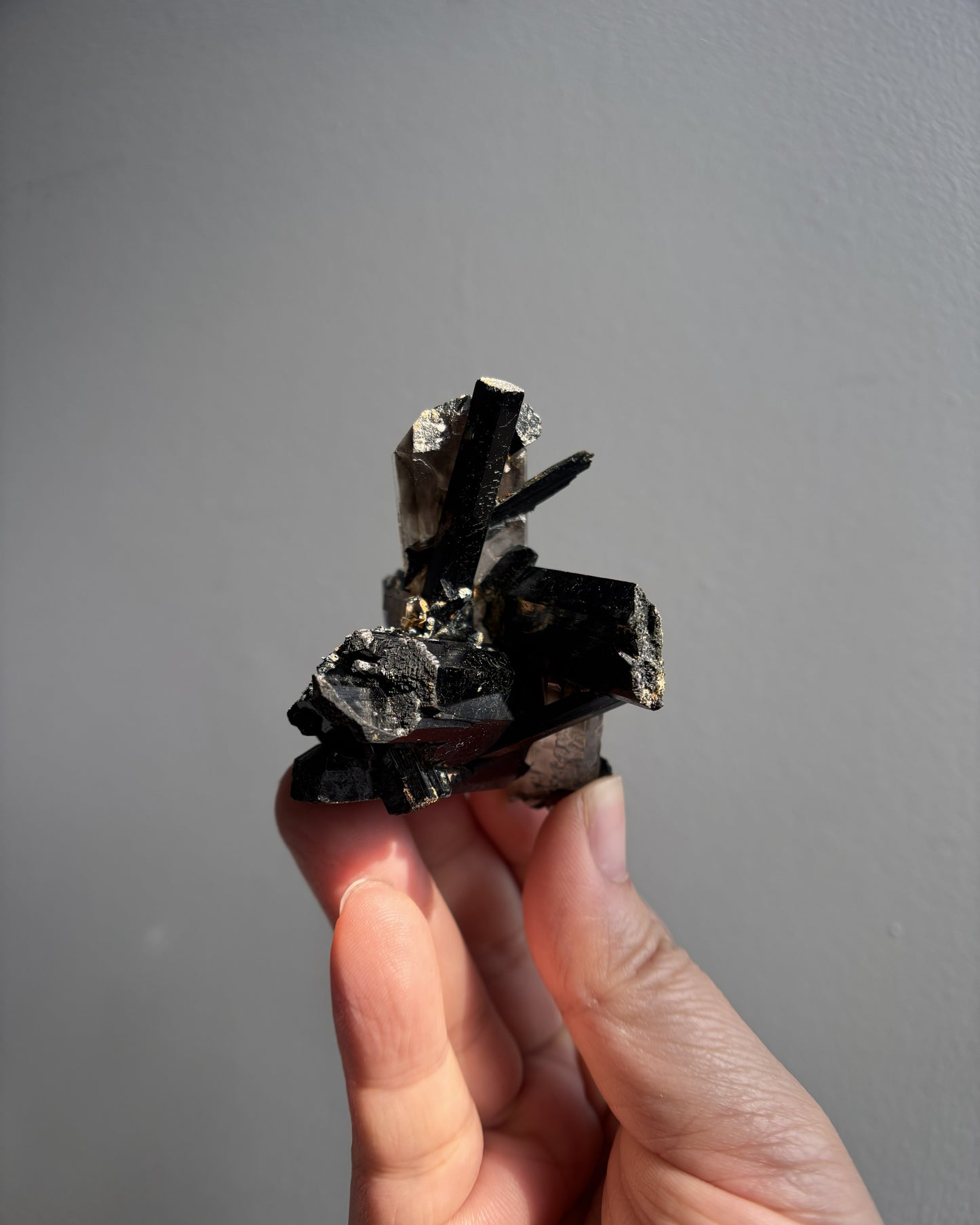 Aegirine and Smoky Quartz 51.8g