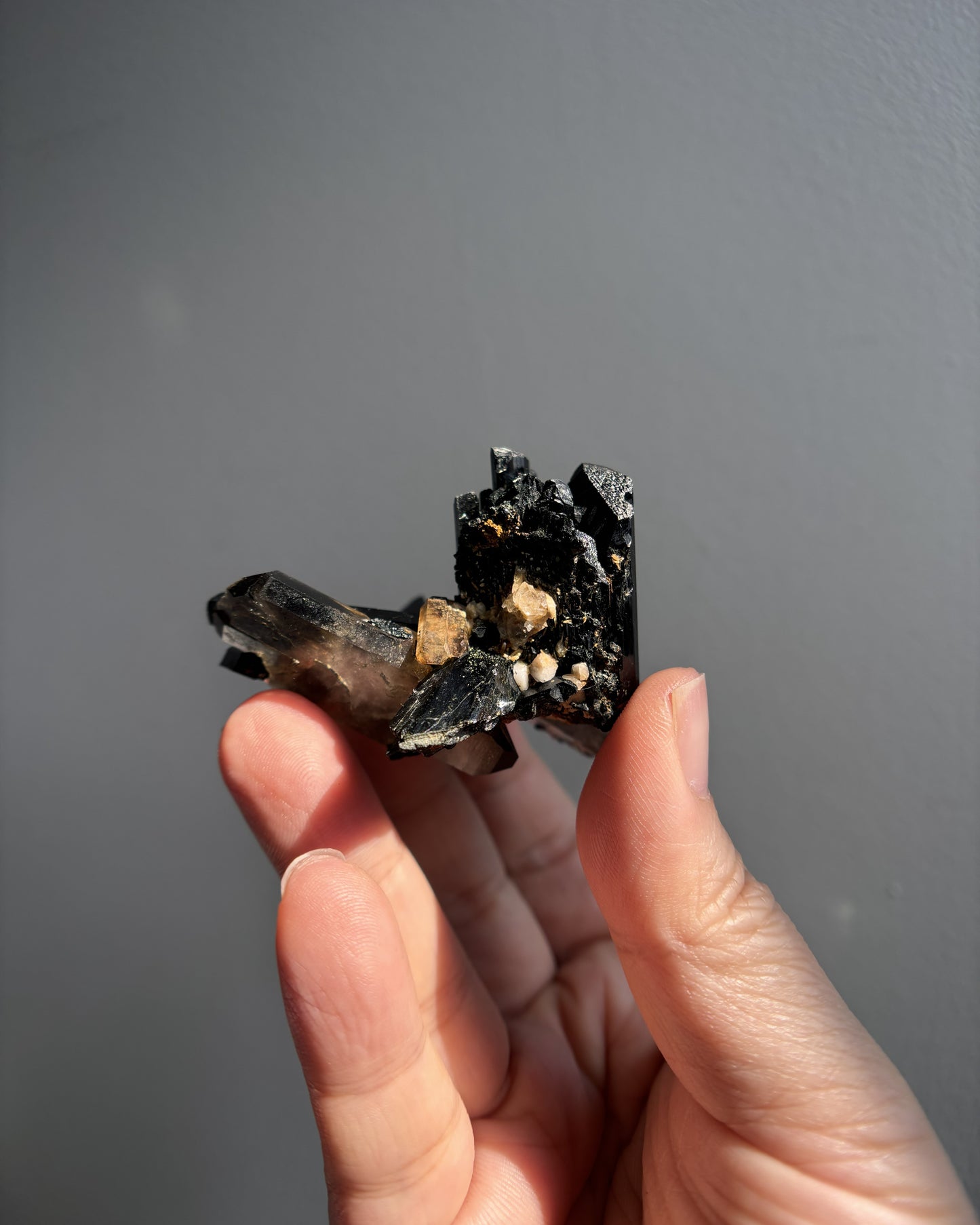 Aegirine and Smoky Quartz 51.8g