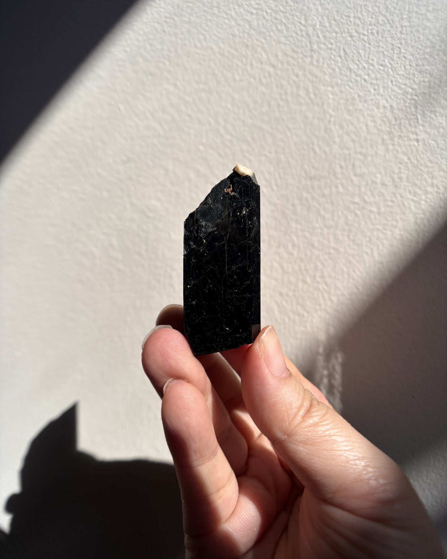 Aegirine with Orthoclase Tip 57.9g