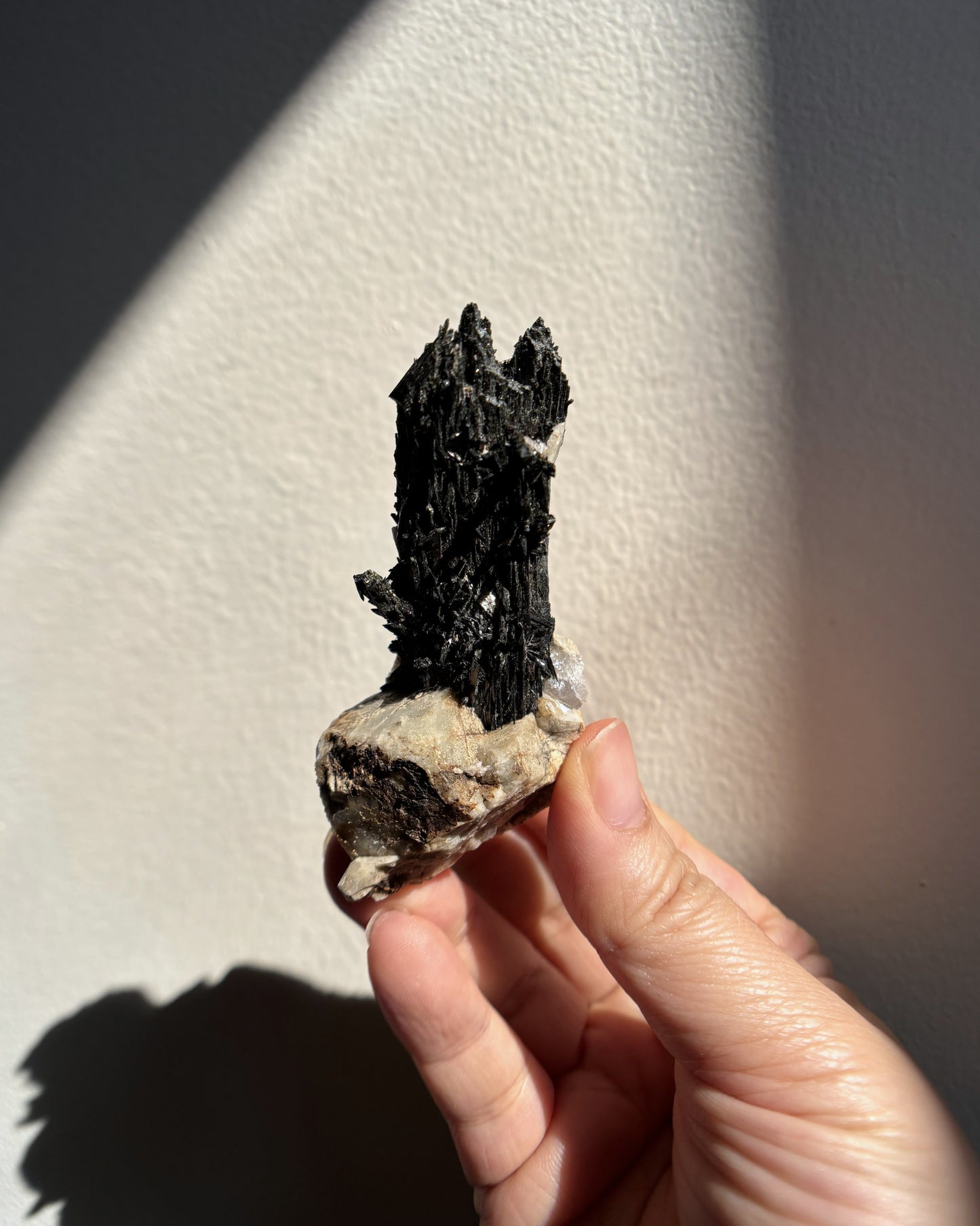 Aegirine on Orthoclase 76.5g
