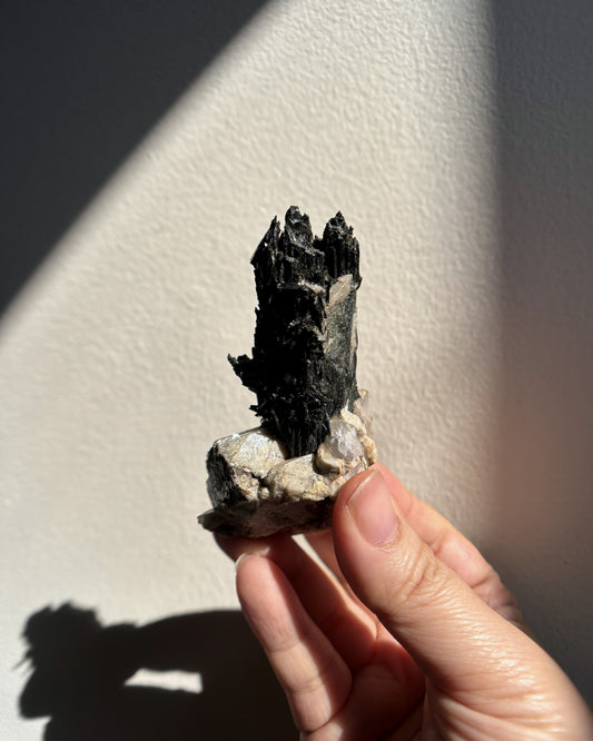 Aegirine on Orthoclase 76.5g
