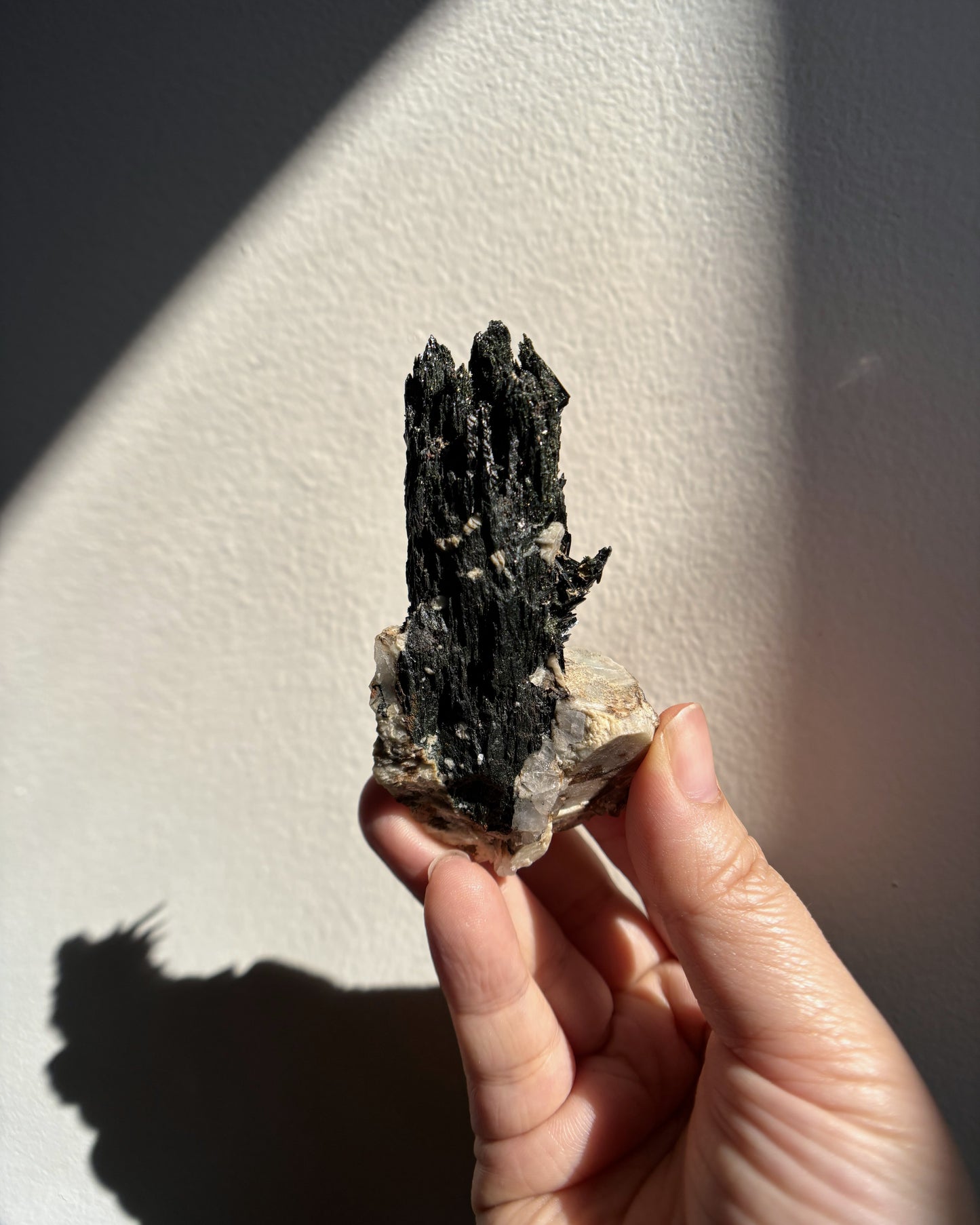 Aegirine on Orthoclase 76.5g