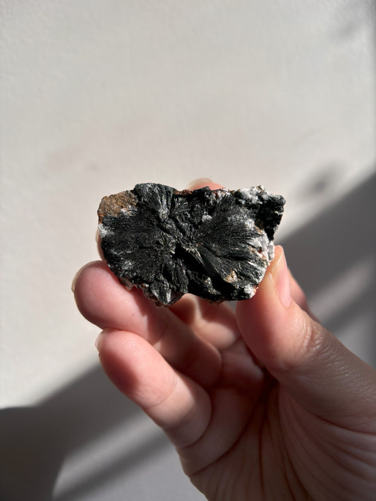 Aegirine with Normandite 24.5g