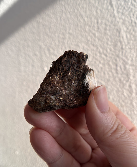 Astrophyllite 19g