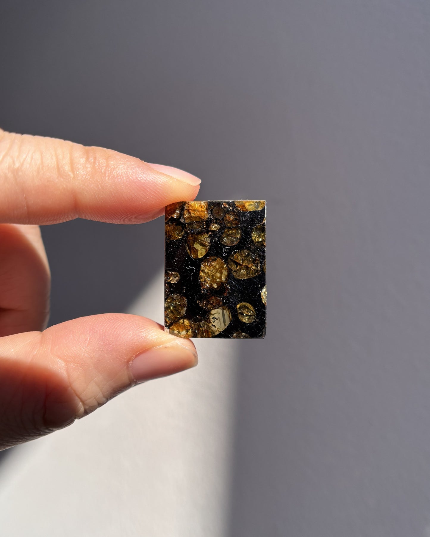Top Grade Brahin Pallasite Meteorite 7g