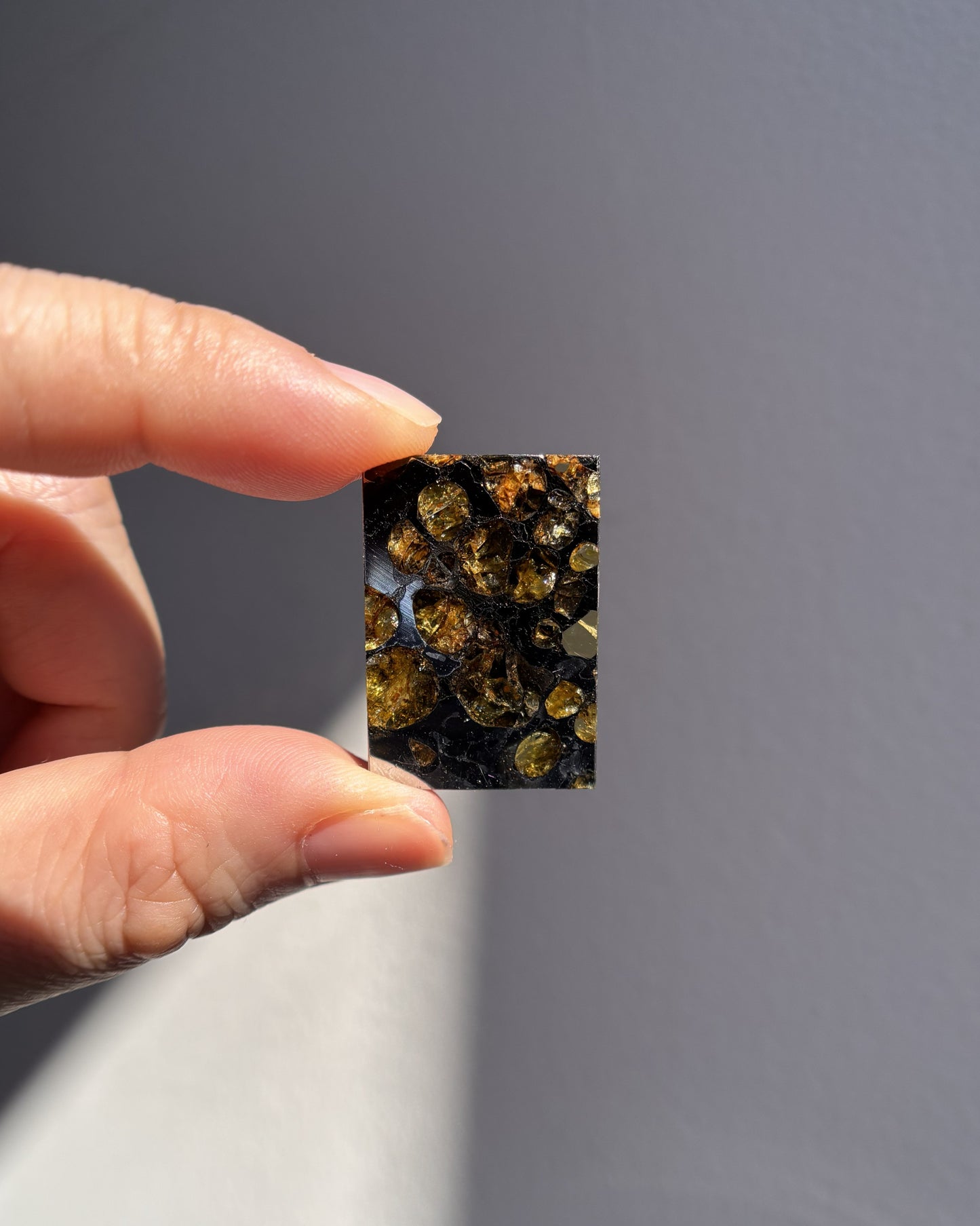 Top Grade Brahin Pallasite Meteorite 8.2g