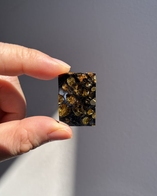 Top Grade Brahin Pallasite Meteorite 8.2g