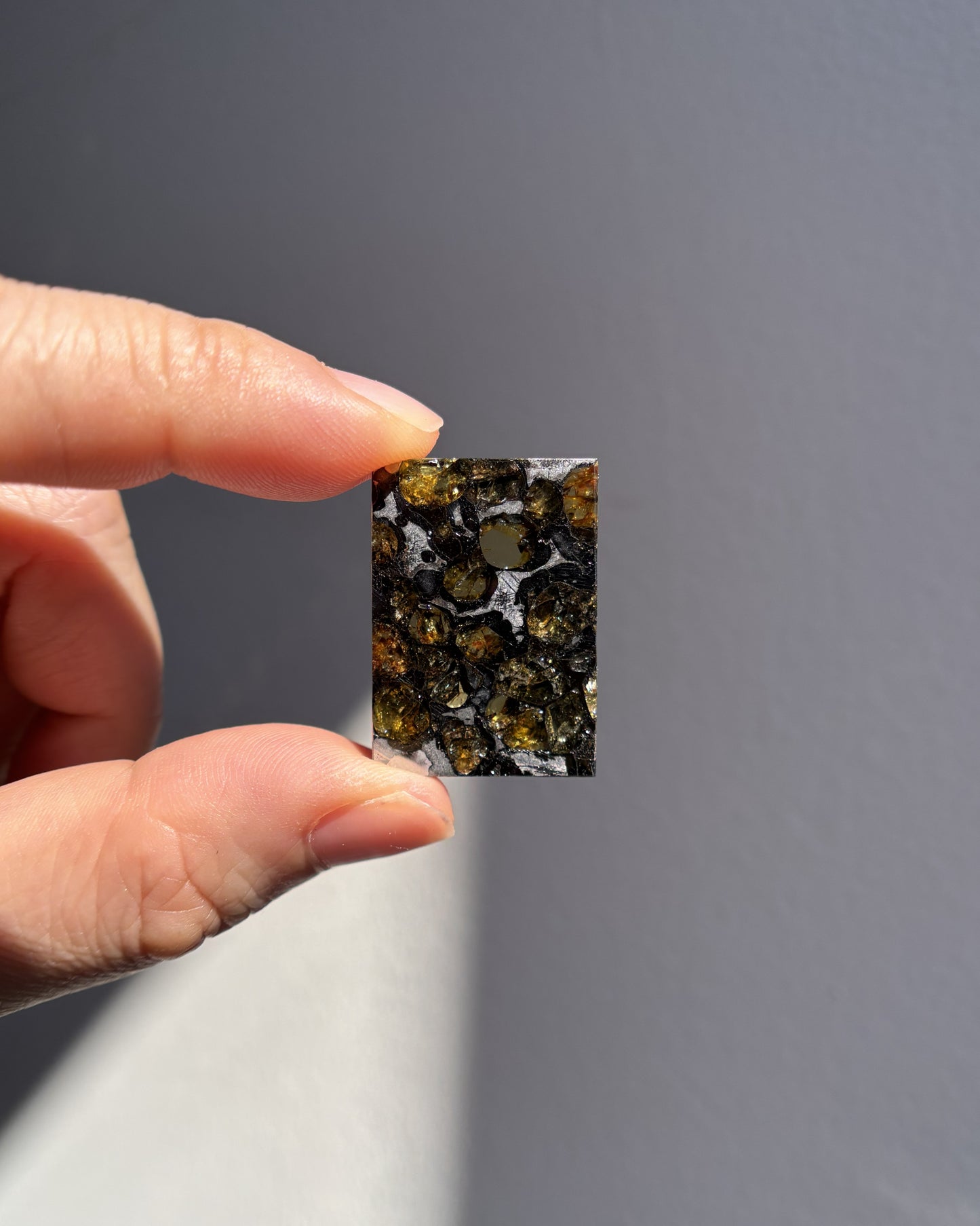 Top Grade Brahin Pallasite Meteorite 8.2g
