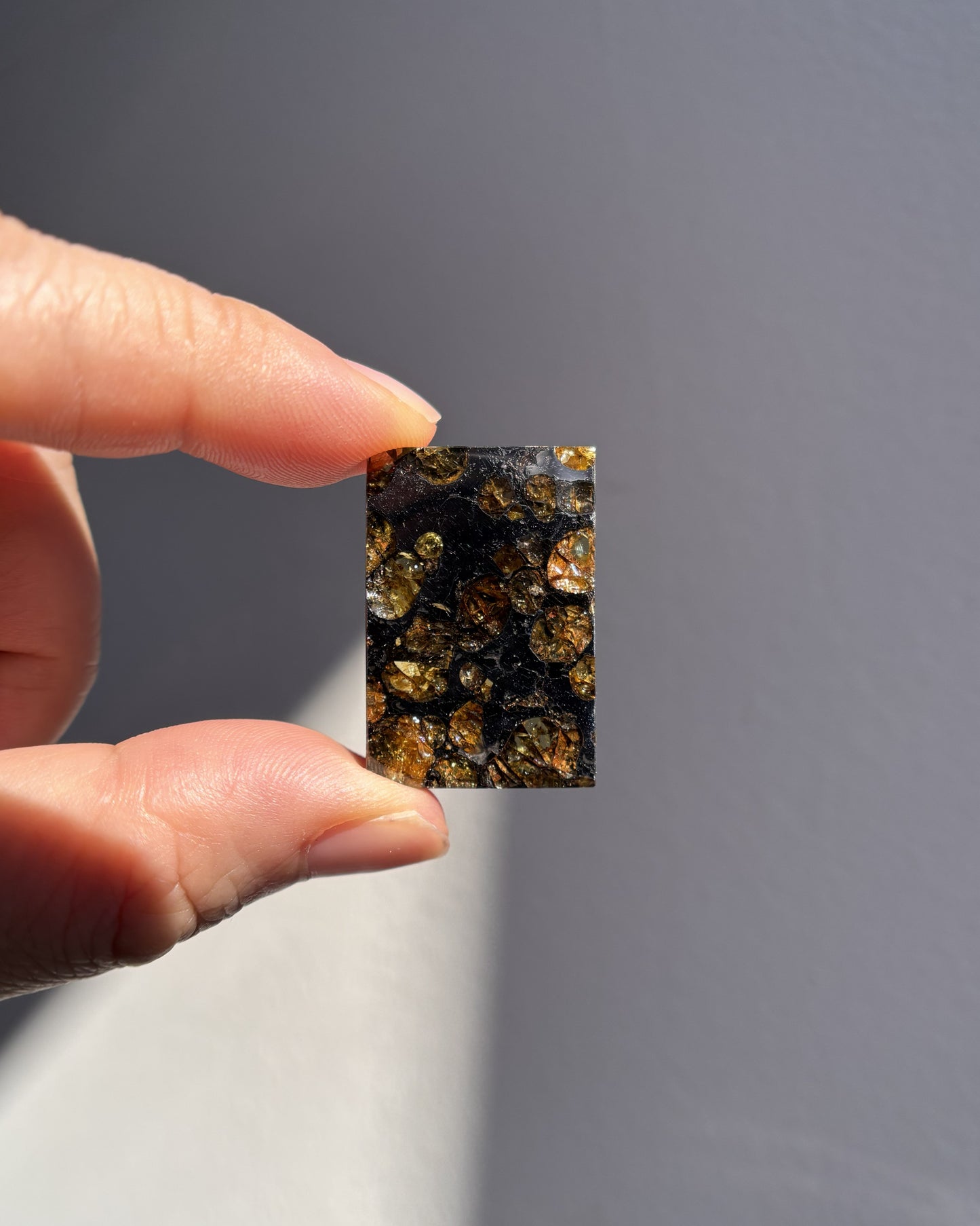 Top Grade Brahin Pallasite Meteorite 8.2g