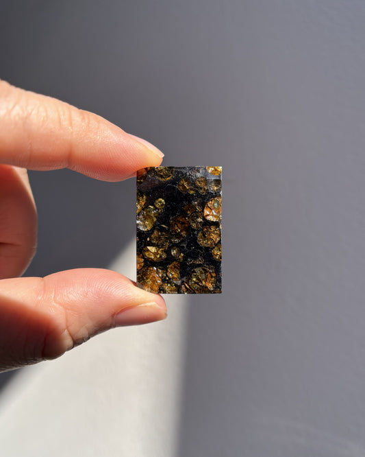 Top Grade Brahin Pallasite Meteorite 8.2g