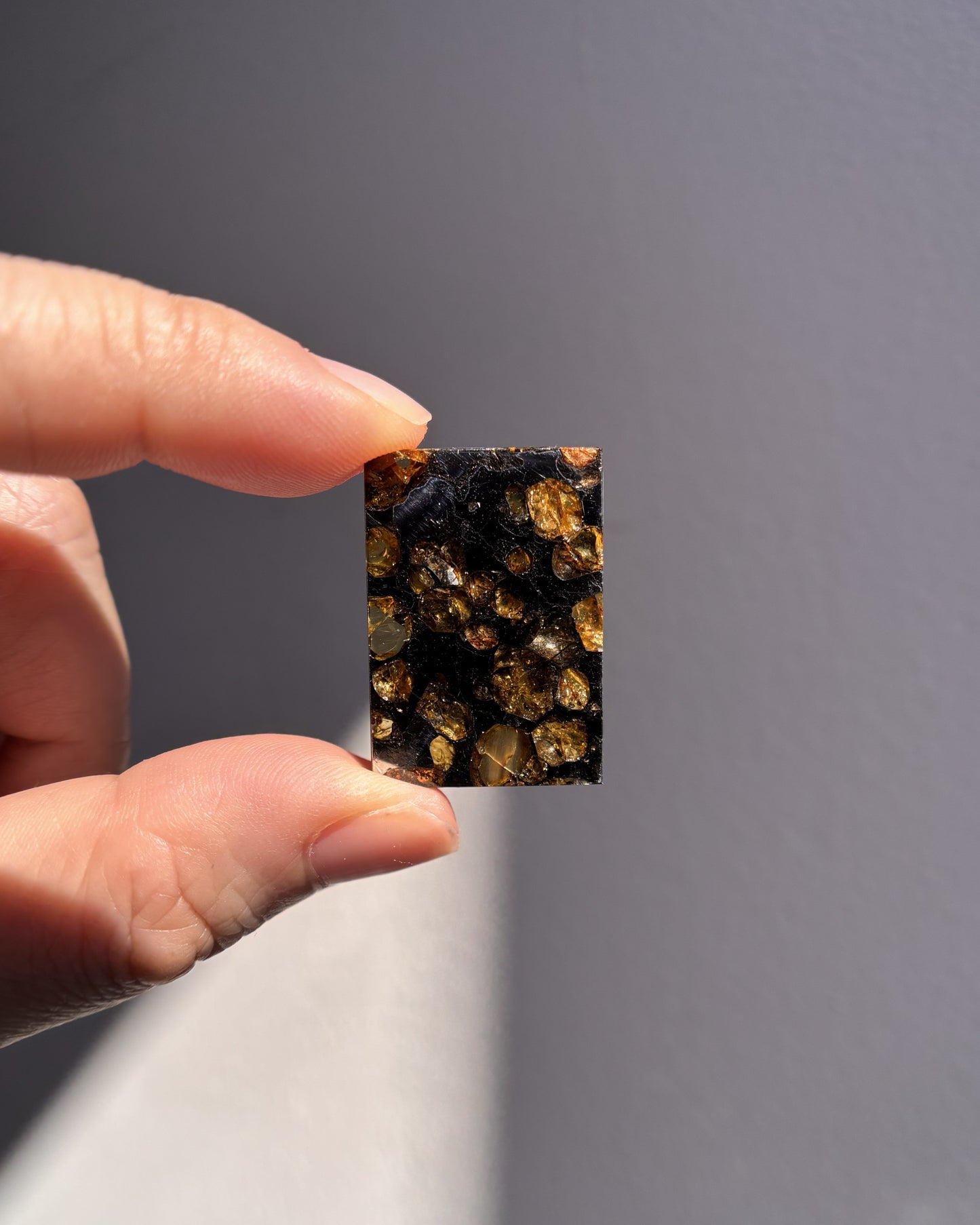 Top Grade Brahin Pallasite Meteorite 8.2g