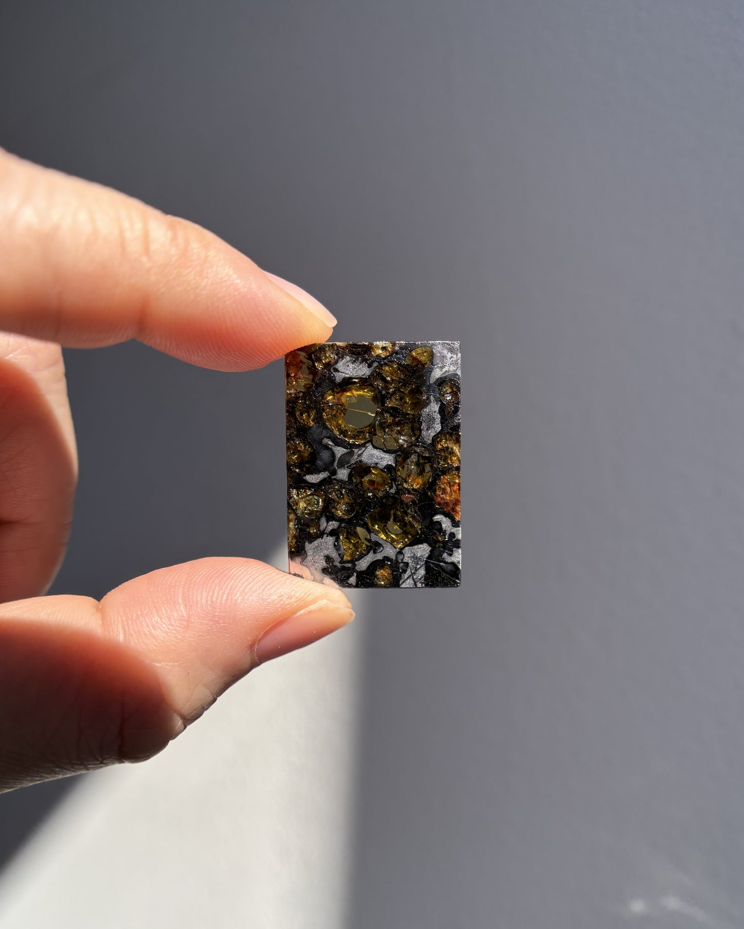 Top Grade Brahin Pallasite Meteorite 8.2g
