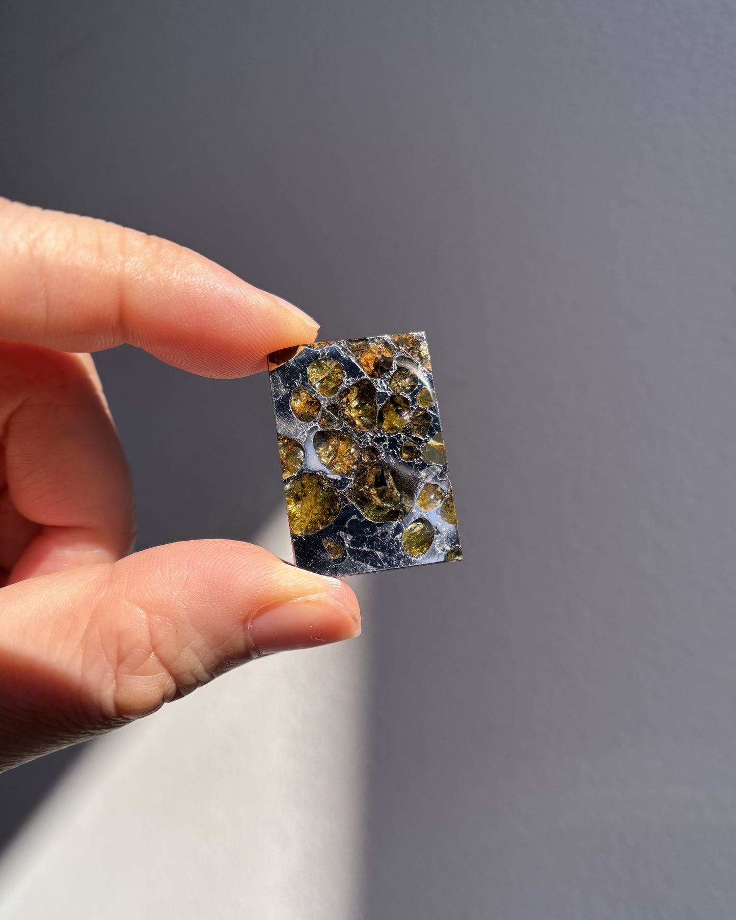 Top Grade Brahin Pallasite Meteorite 8.2g