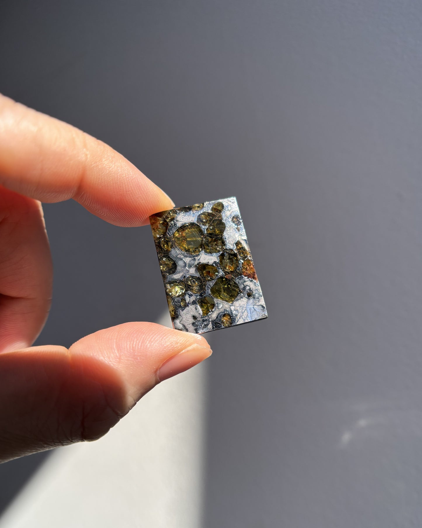 Top Grade Brahin Pallasite Meteorite 8.2g
