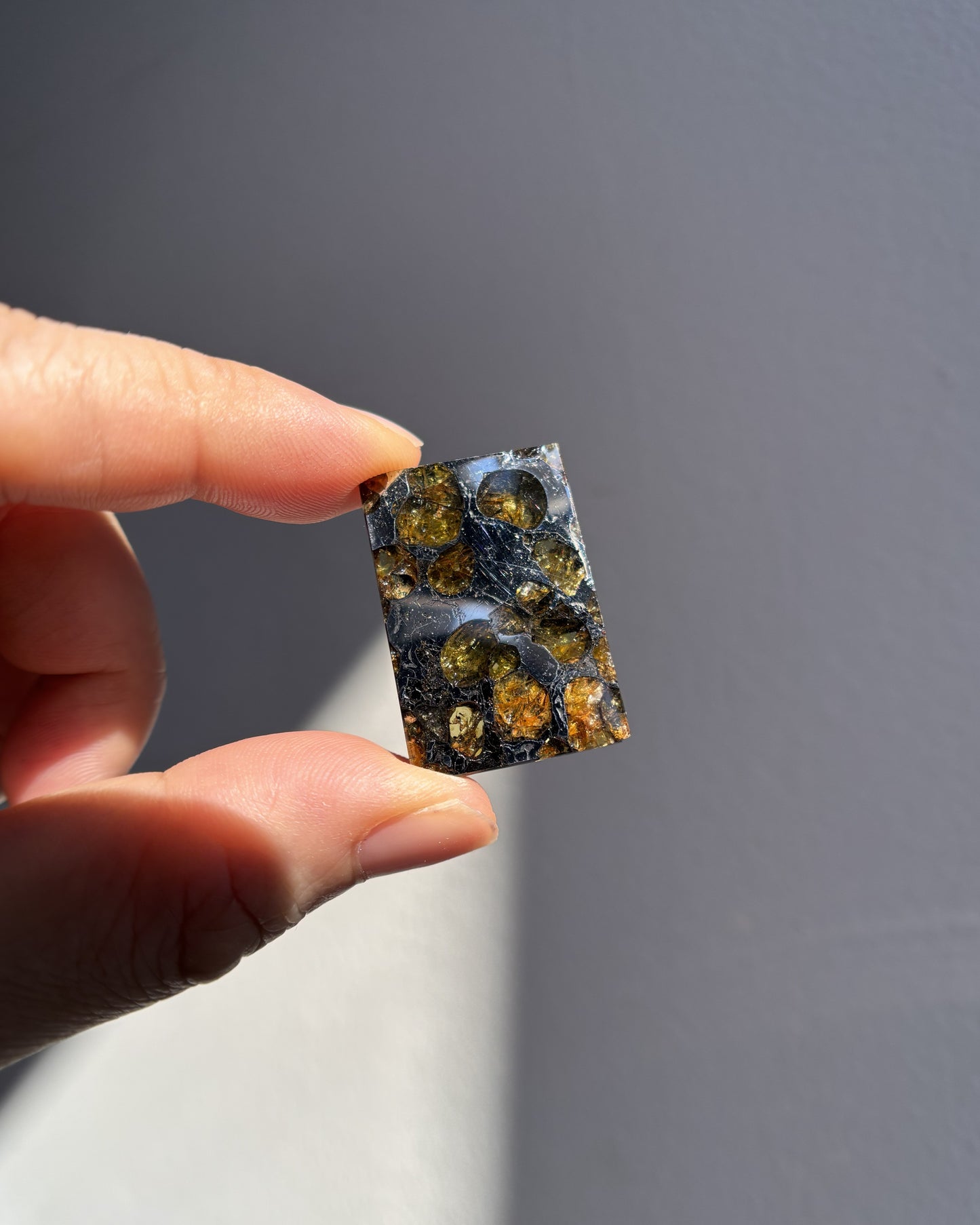 Top Grade Brahin Pallasite Meteorite 8.2g