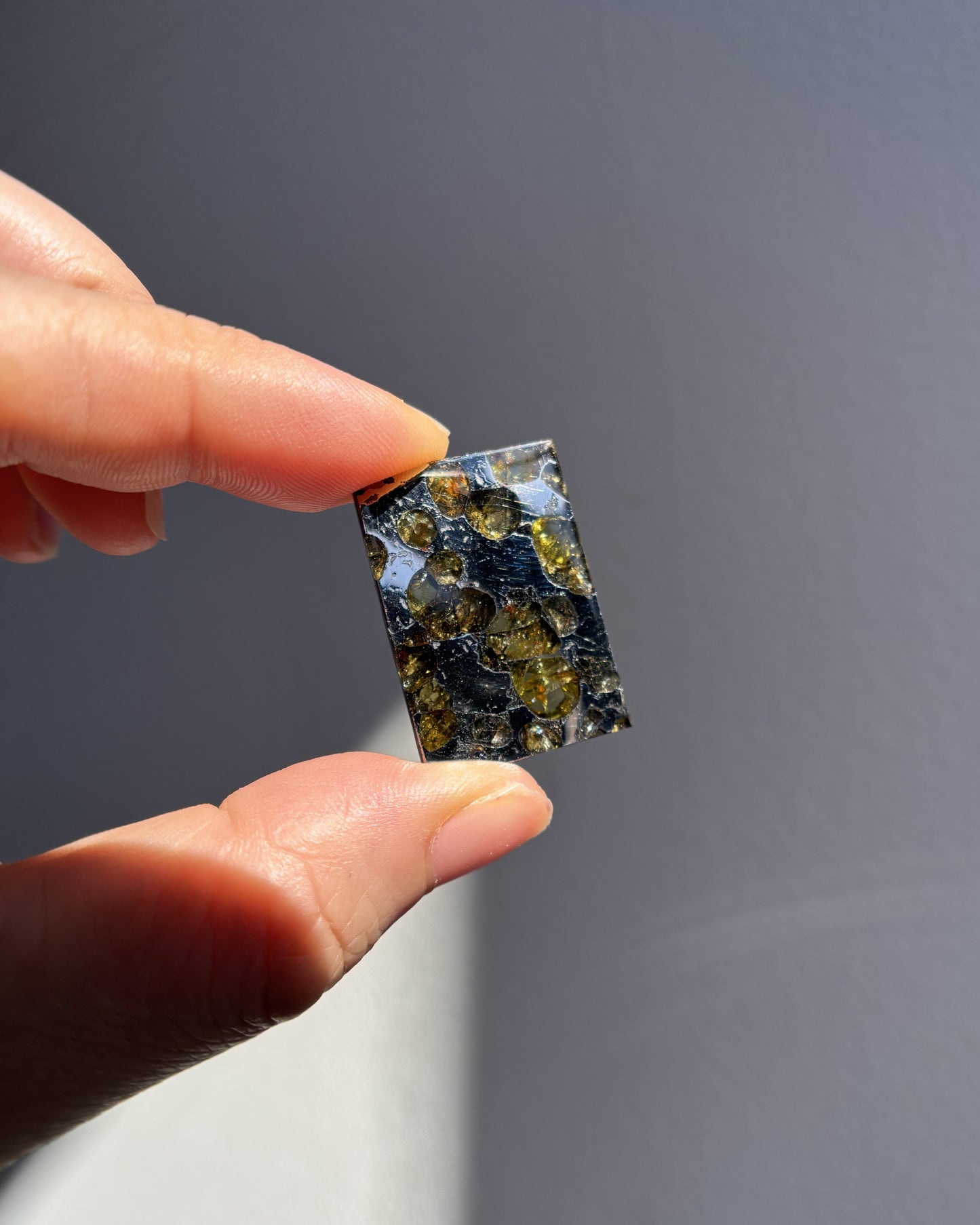 Top Grade Brahin Pallasite Meteorite 8.6g