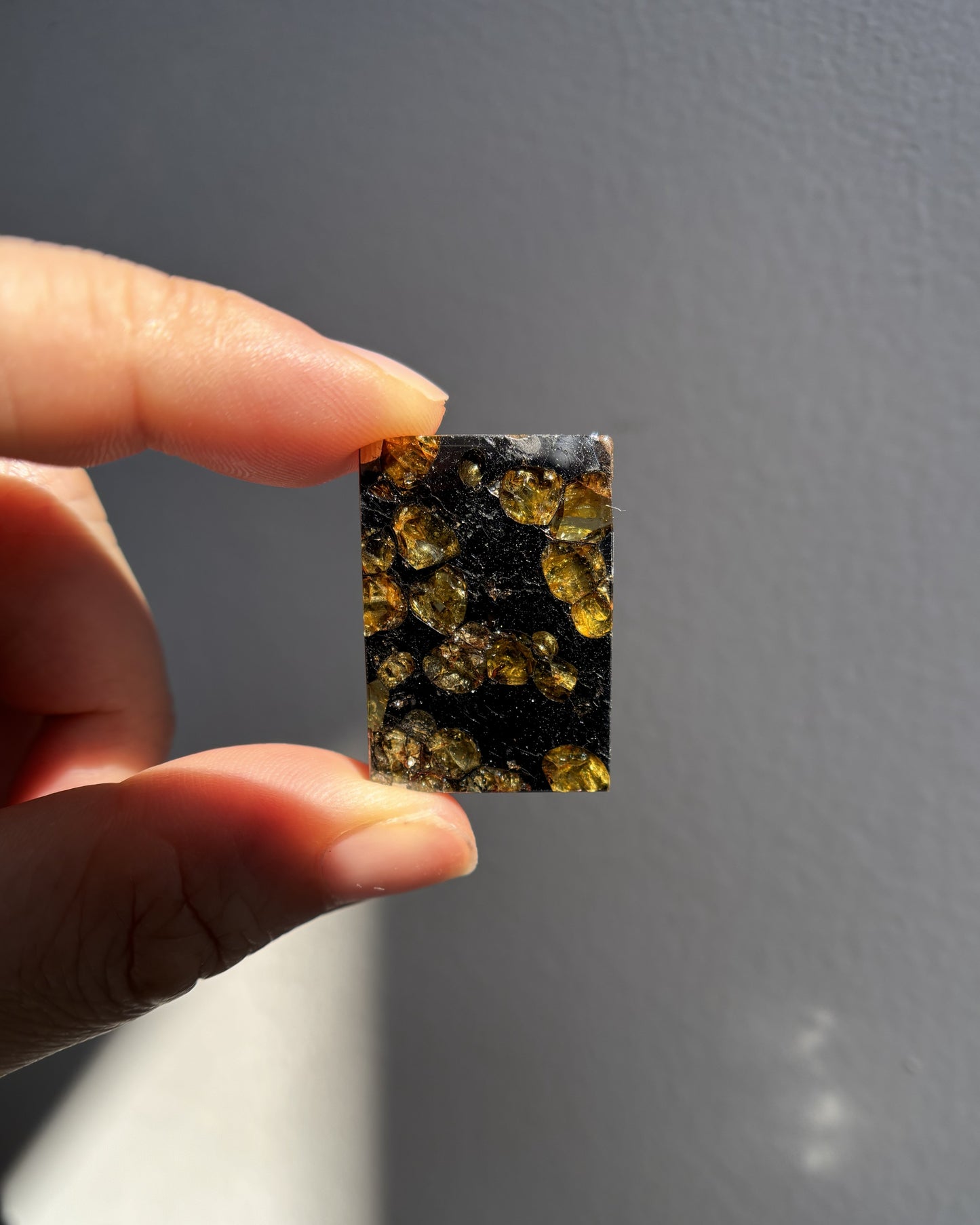 Top Grade Brahin Pallasite Meteorite 8.7g