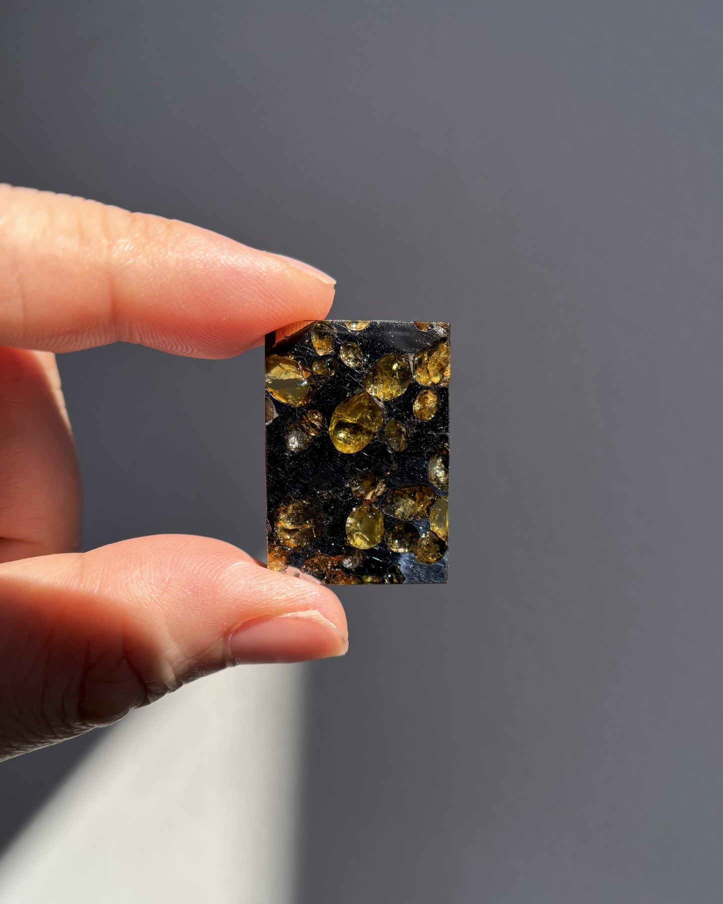Top Grade Brahin Pallasite Meteorite 8.7g