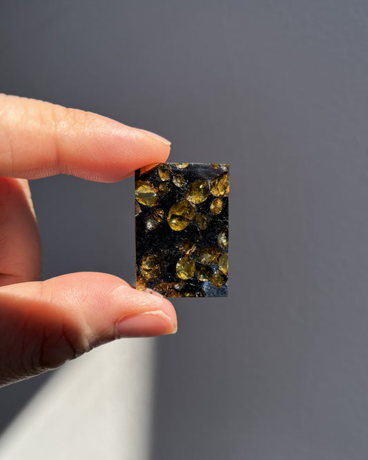 Top Grade Brahin Pallasite Meteorite 8.7g