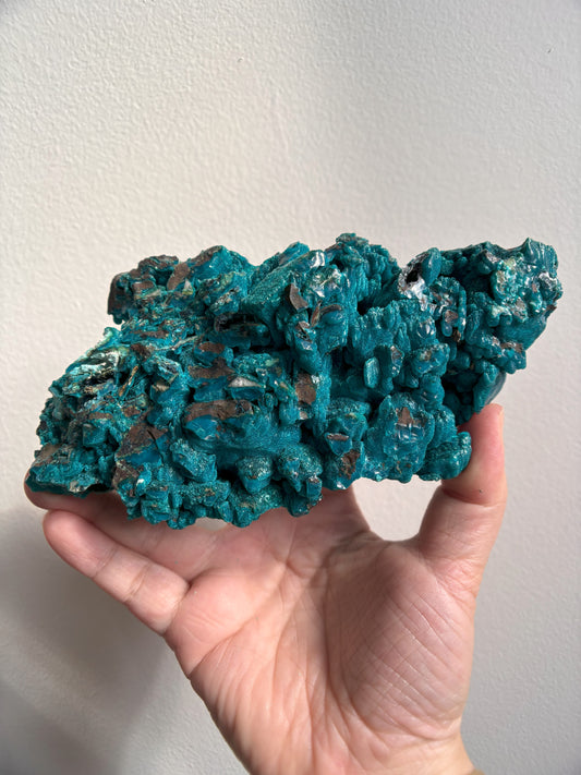 Chrysocolla 513g