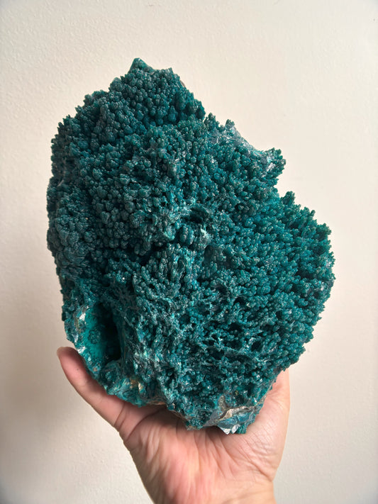 Blue Raw Chrysocolla Specimen 5lbs