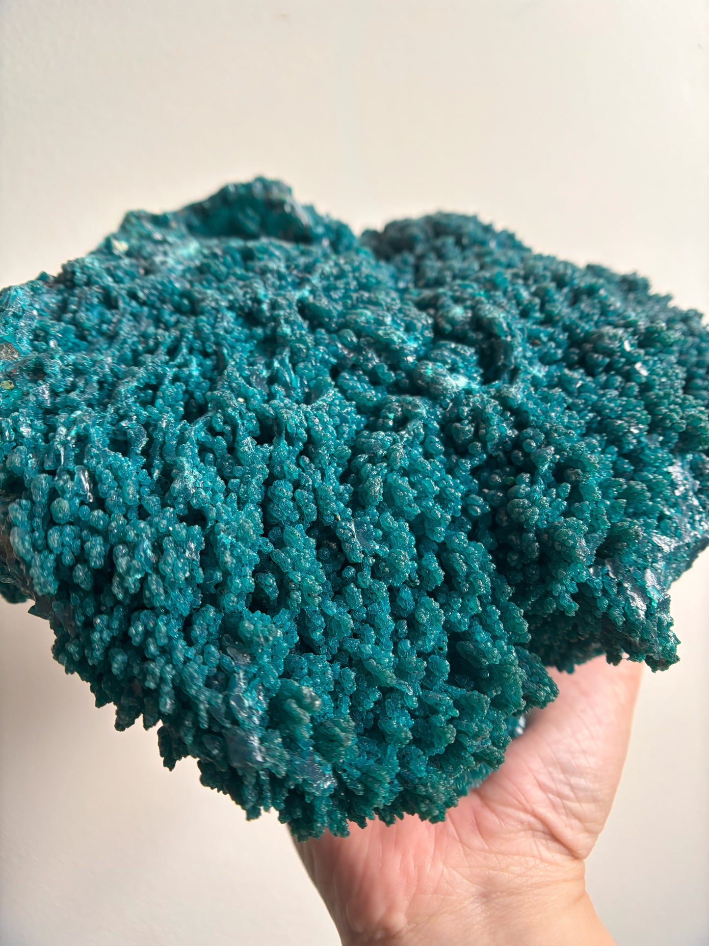 Blue Raw Chrysocolla Specimen 5lbs