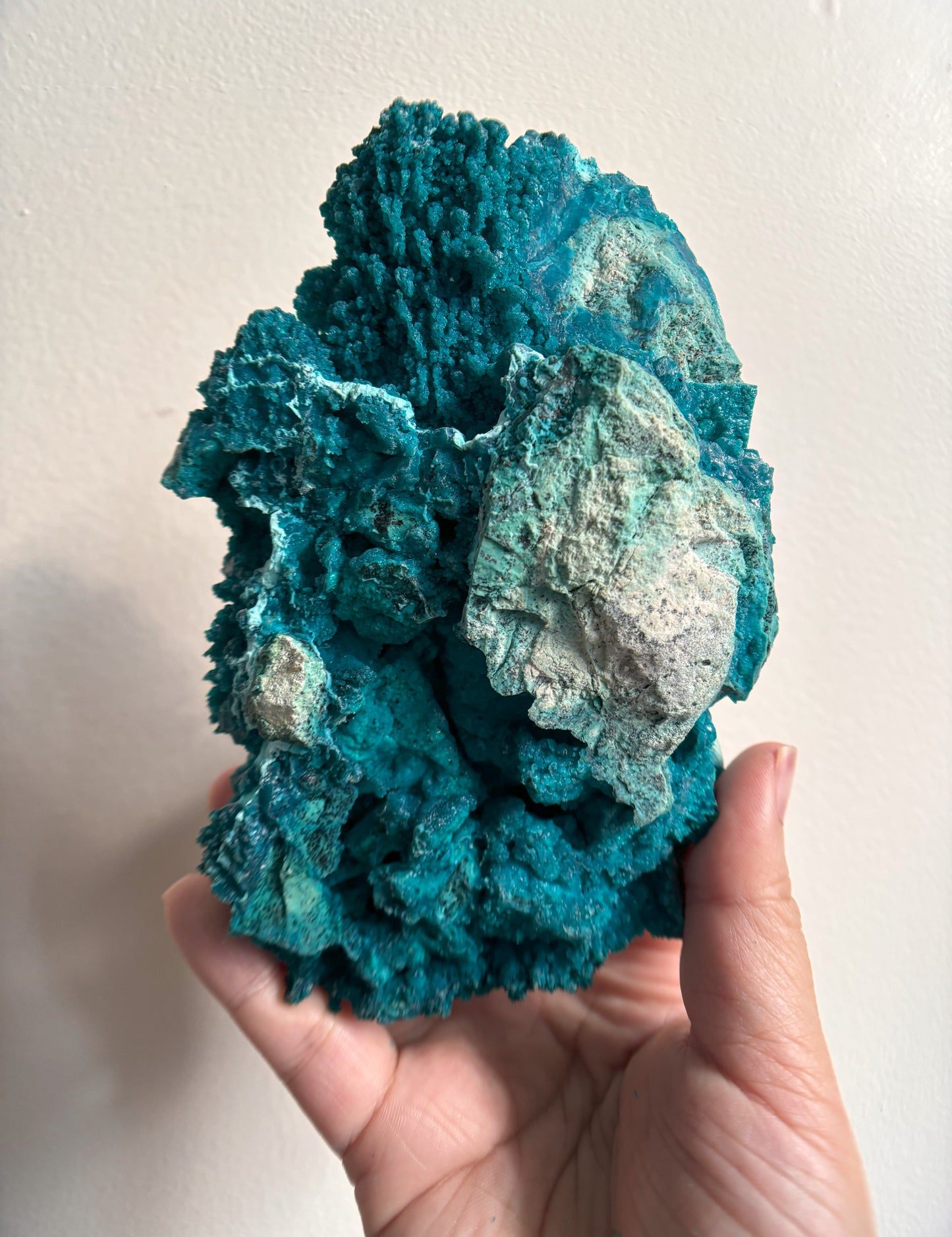 Chrysocolla 609g