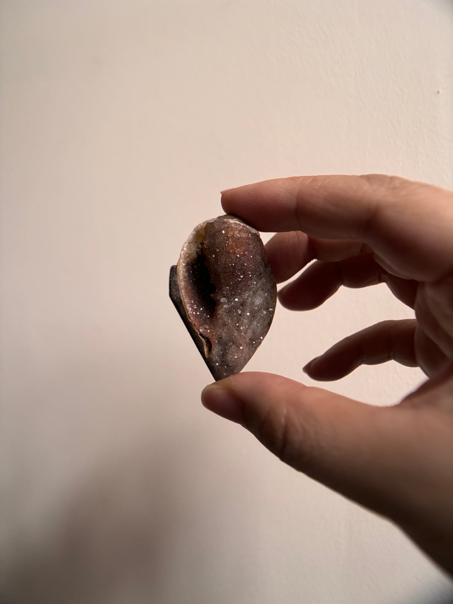 Druzy Fossilized Spiralite Quartz Shells