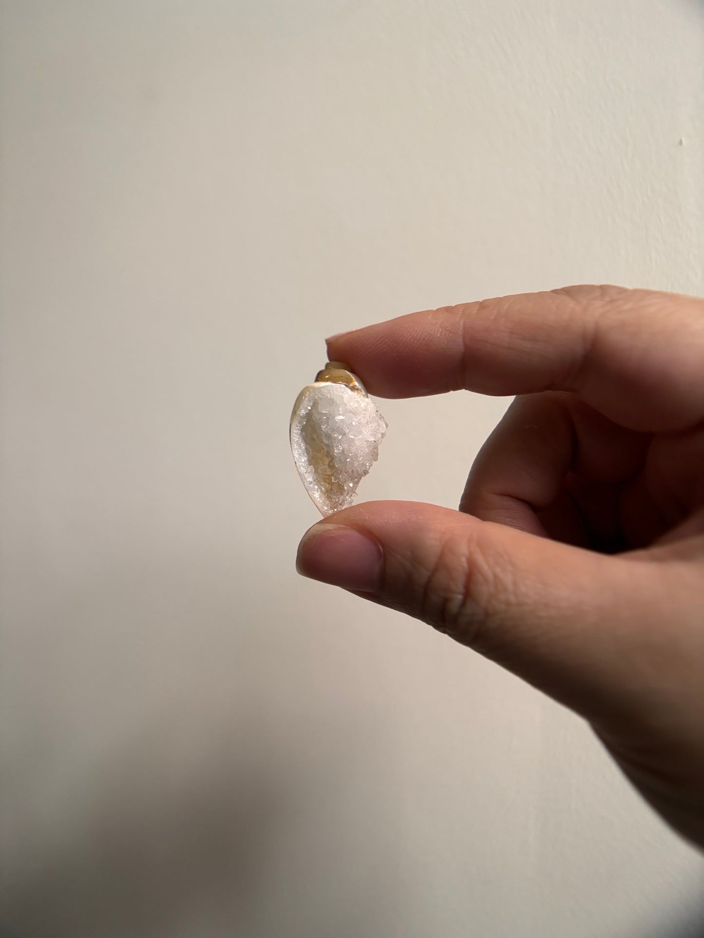 Druzy Fossilized Spiralite Quartz Shells