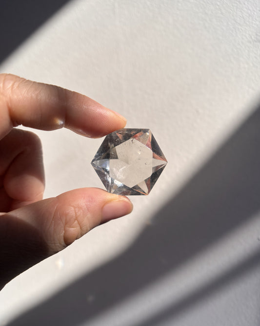 Faceted Lemurian Diamond 13.9g