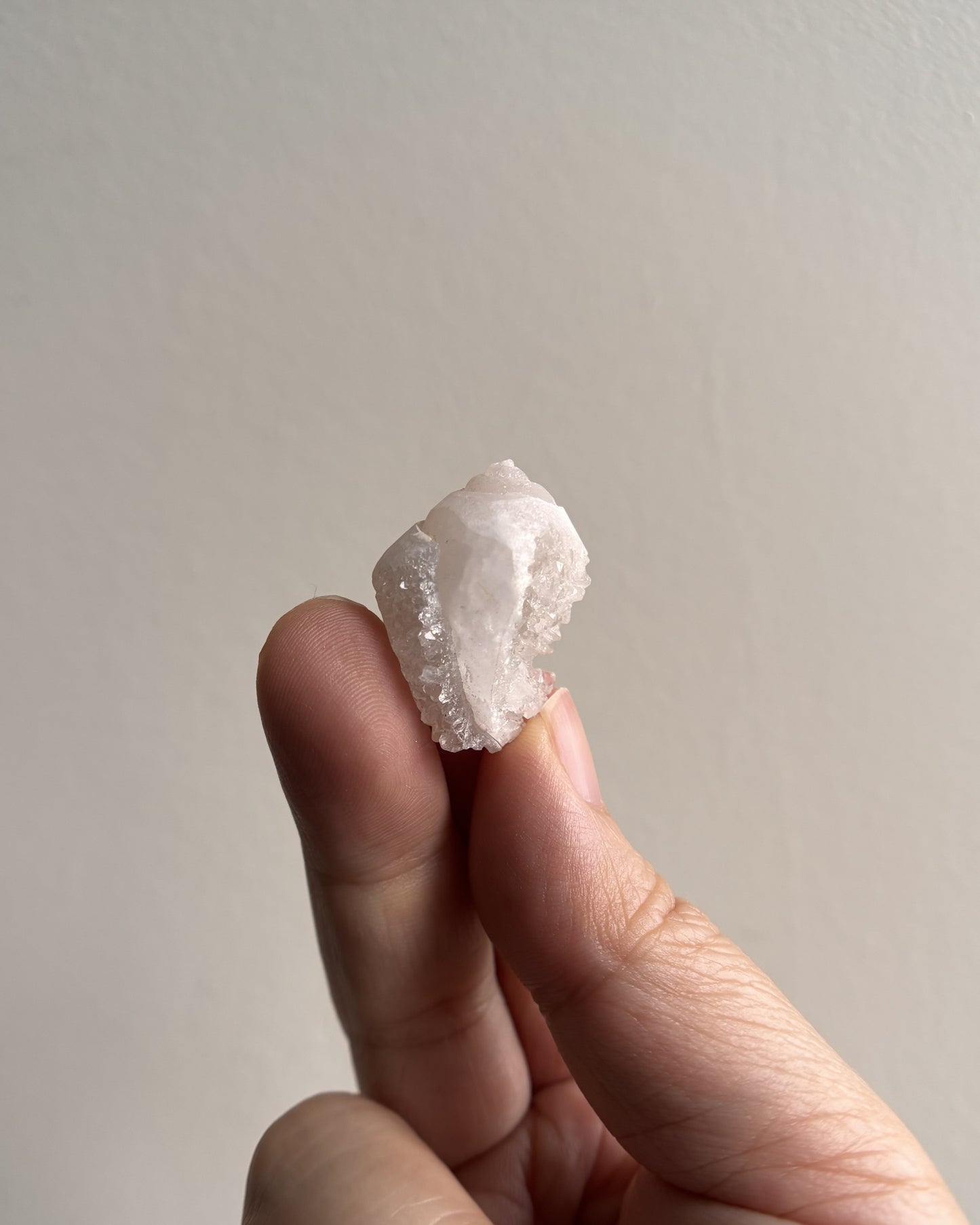 Fossilized Spiralite Quartz Shells 10g